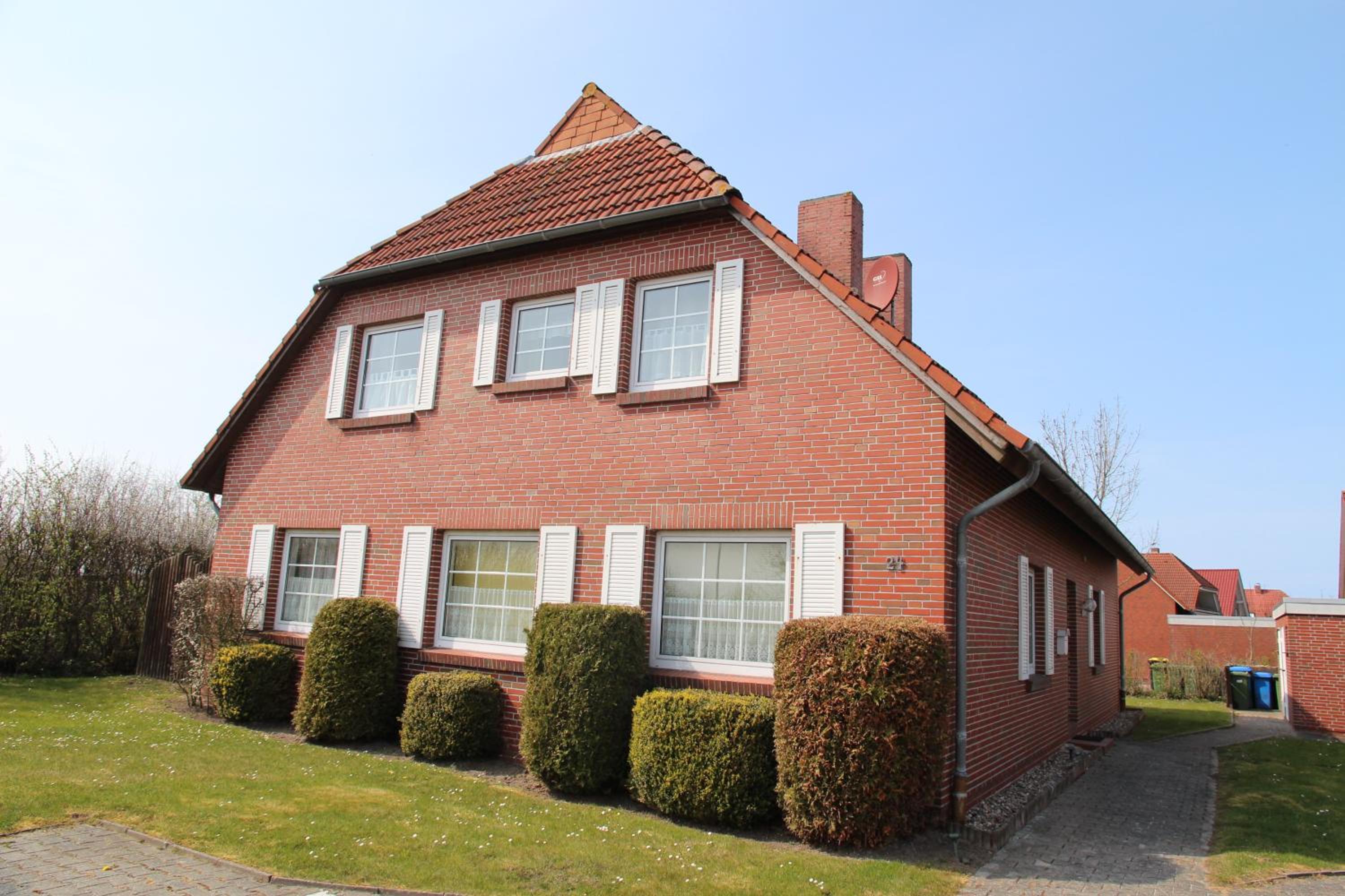 Seeschwalbe