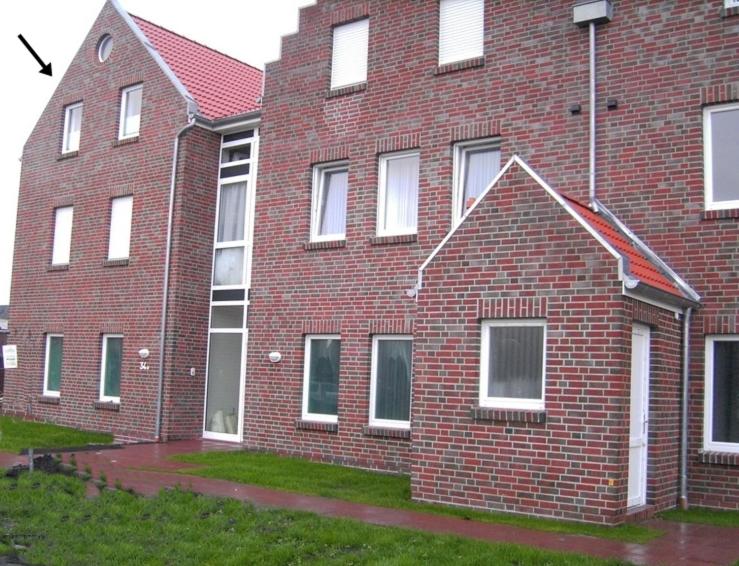 Möwennest