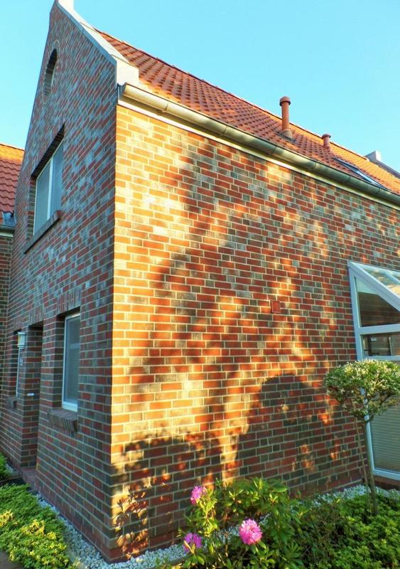 Möwenblick