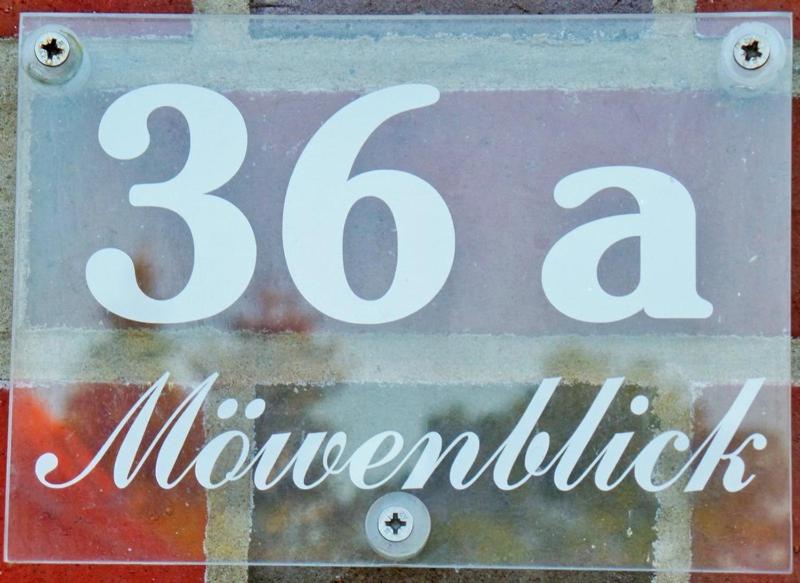 Möwenblick