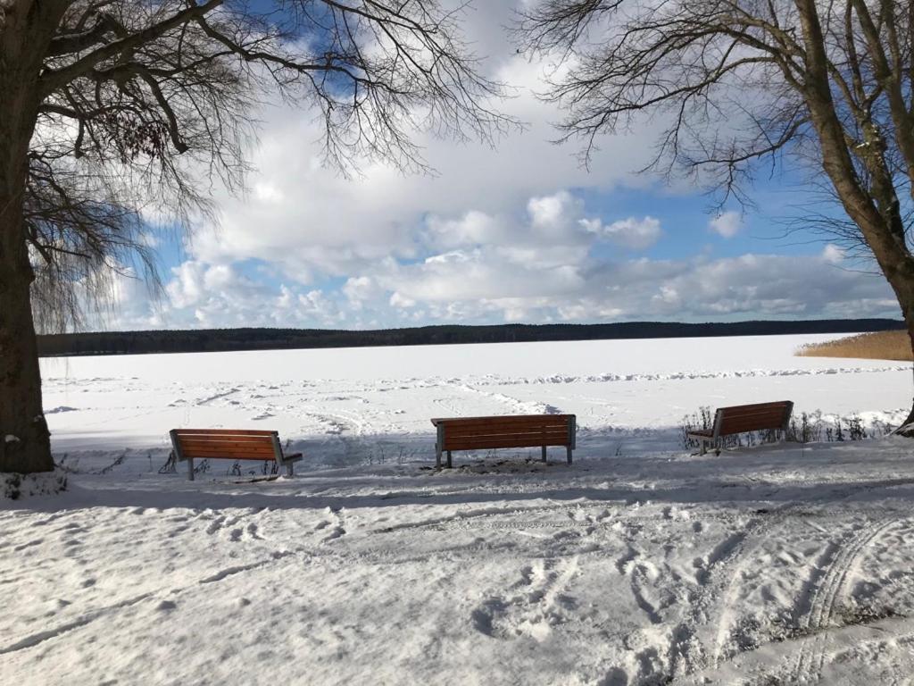 Seeblick Warin