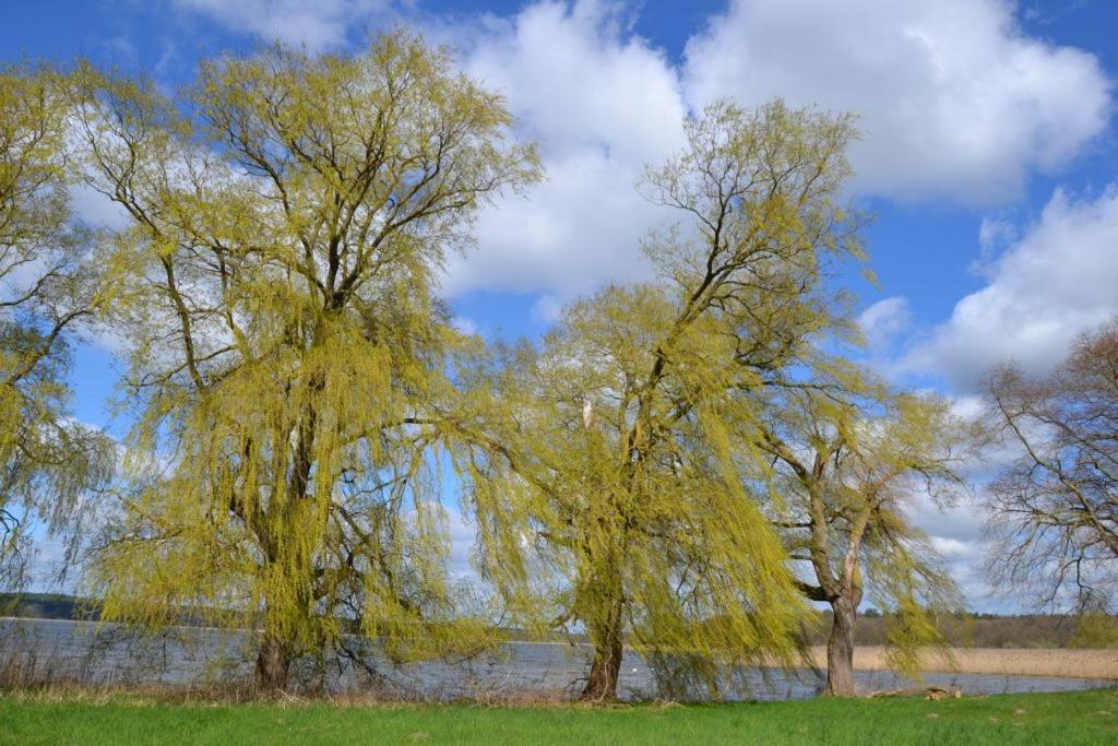 Storchennest