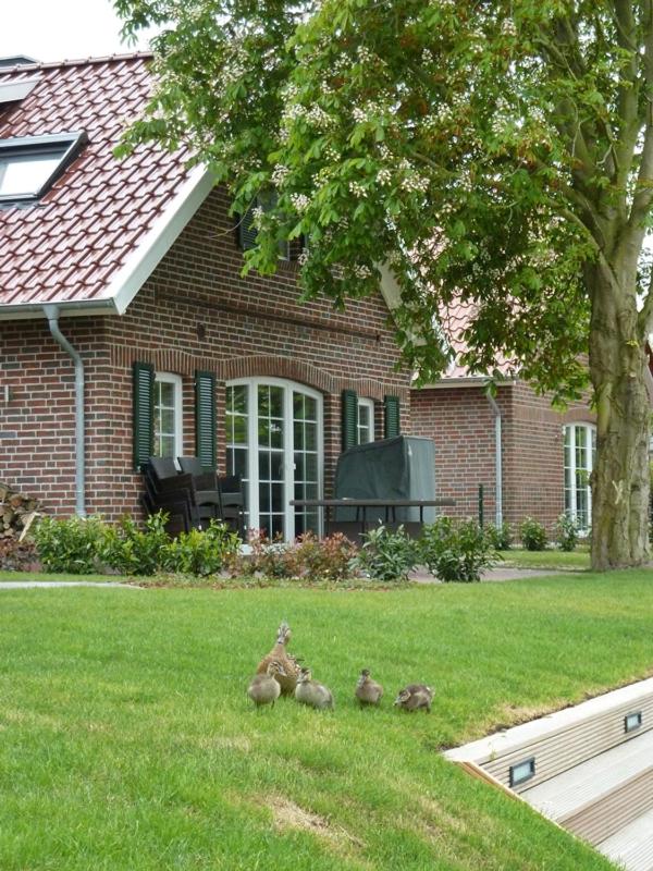 Huus an't Gracht