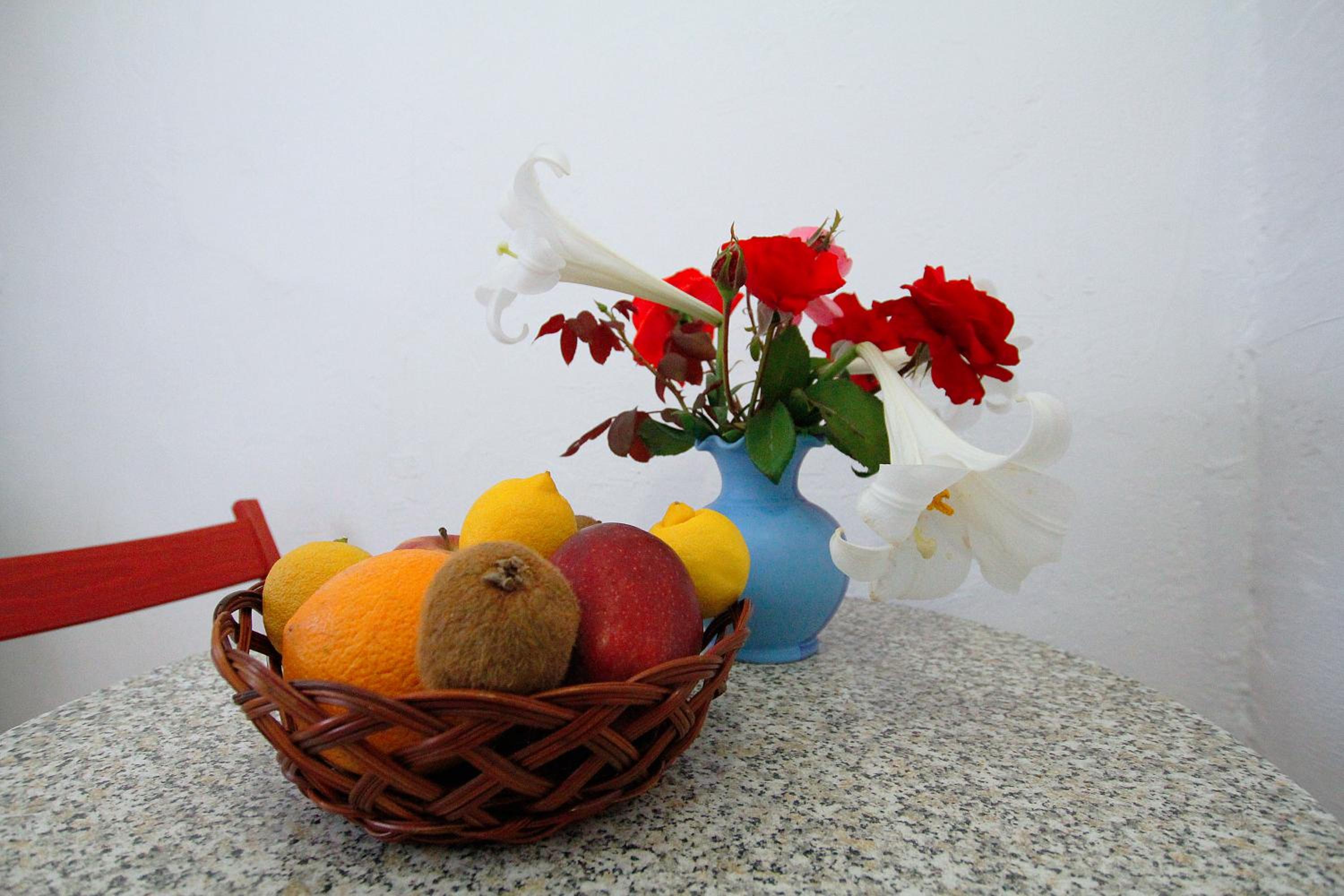 Photo 48