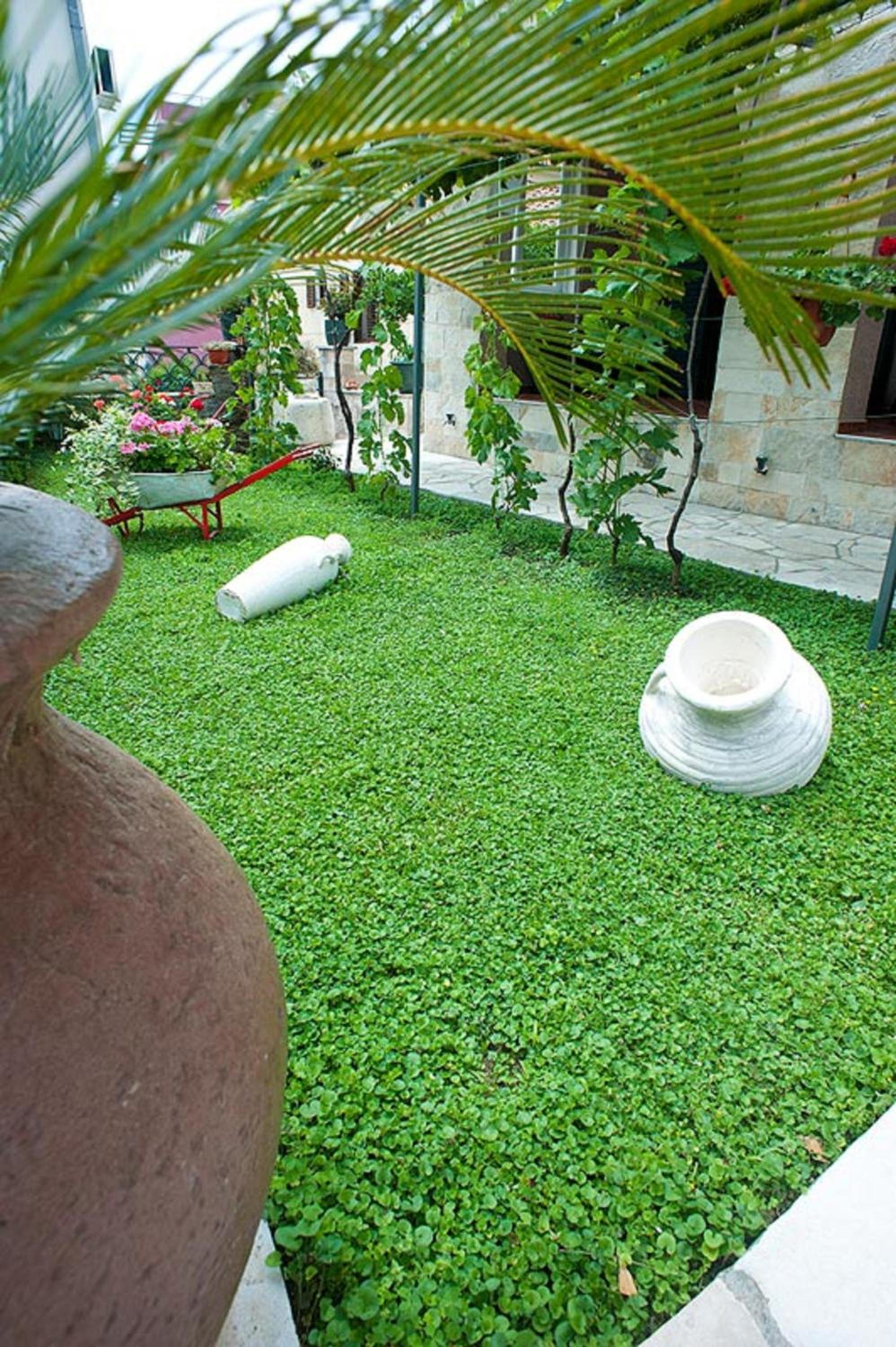 Guest House Medin