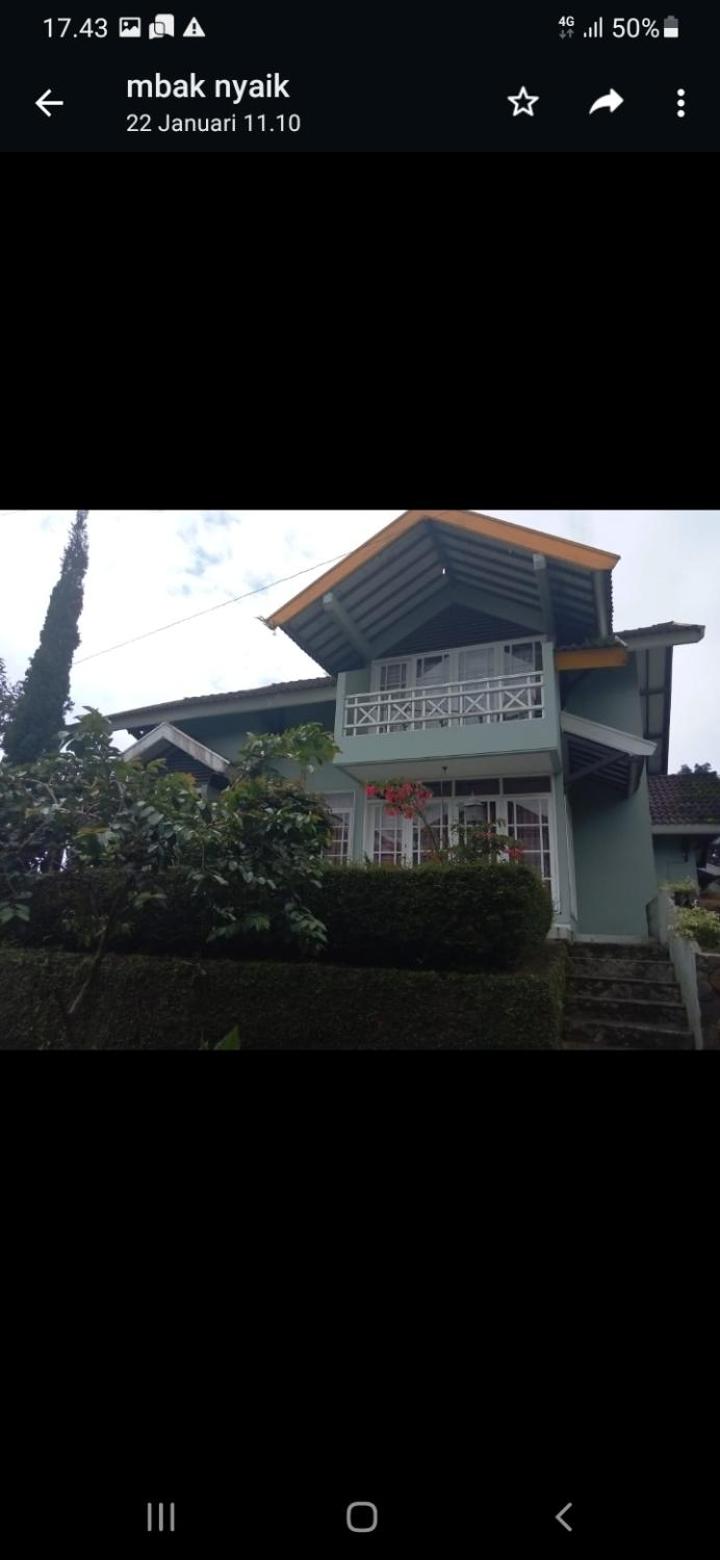 Villa green hill cipanas pacet puncak bogor view 5