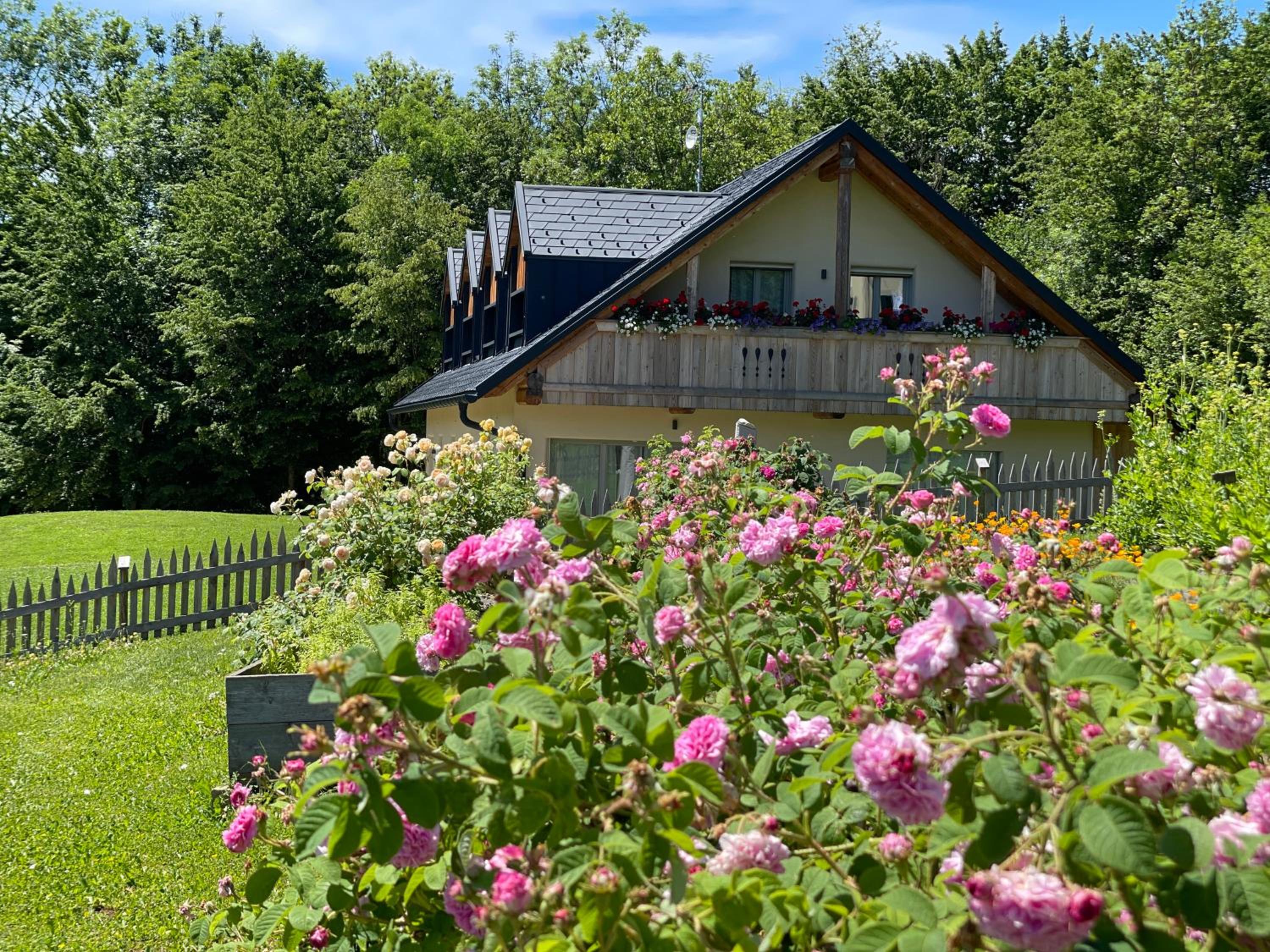 Loft Naturalpina Dolomiti Farm
