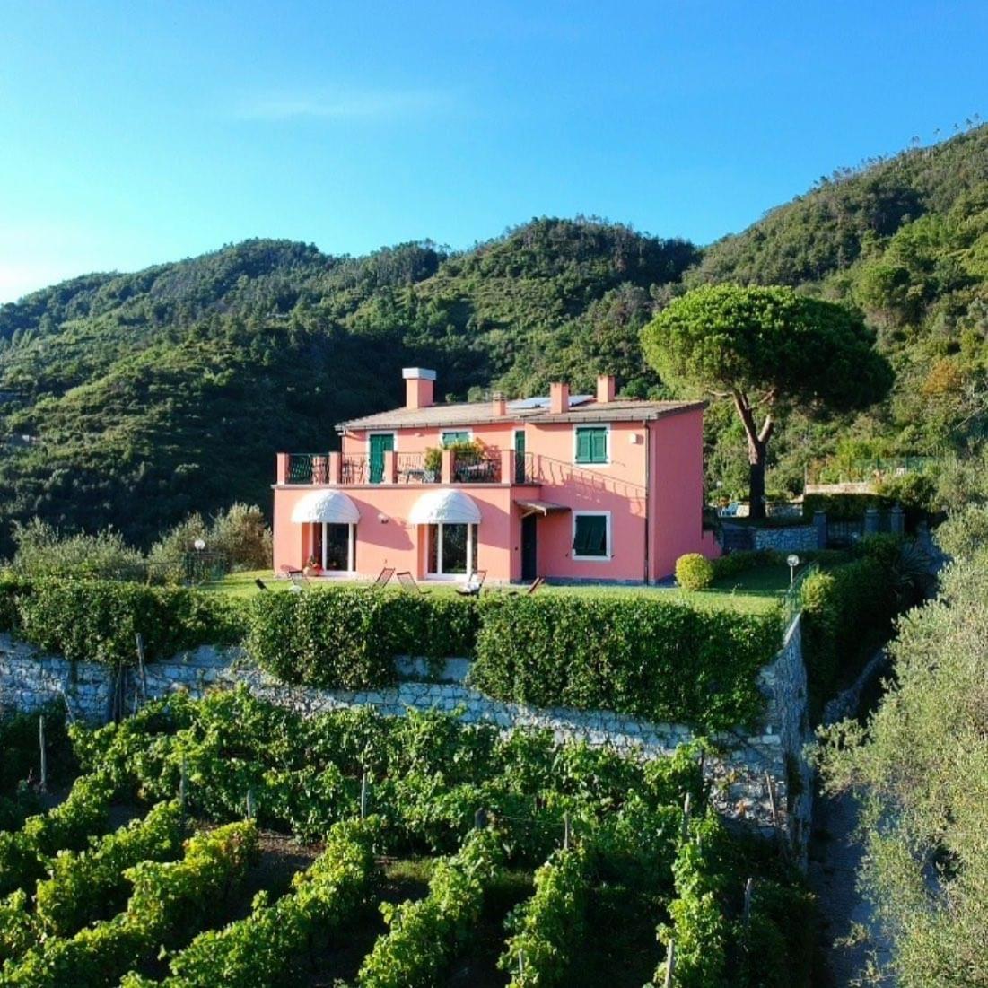 La Vignana - 5 Terre photo 1