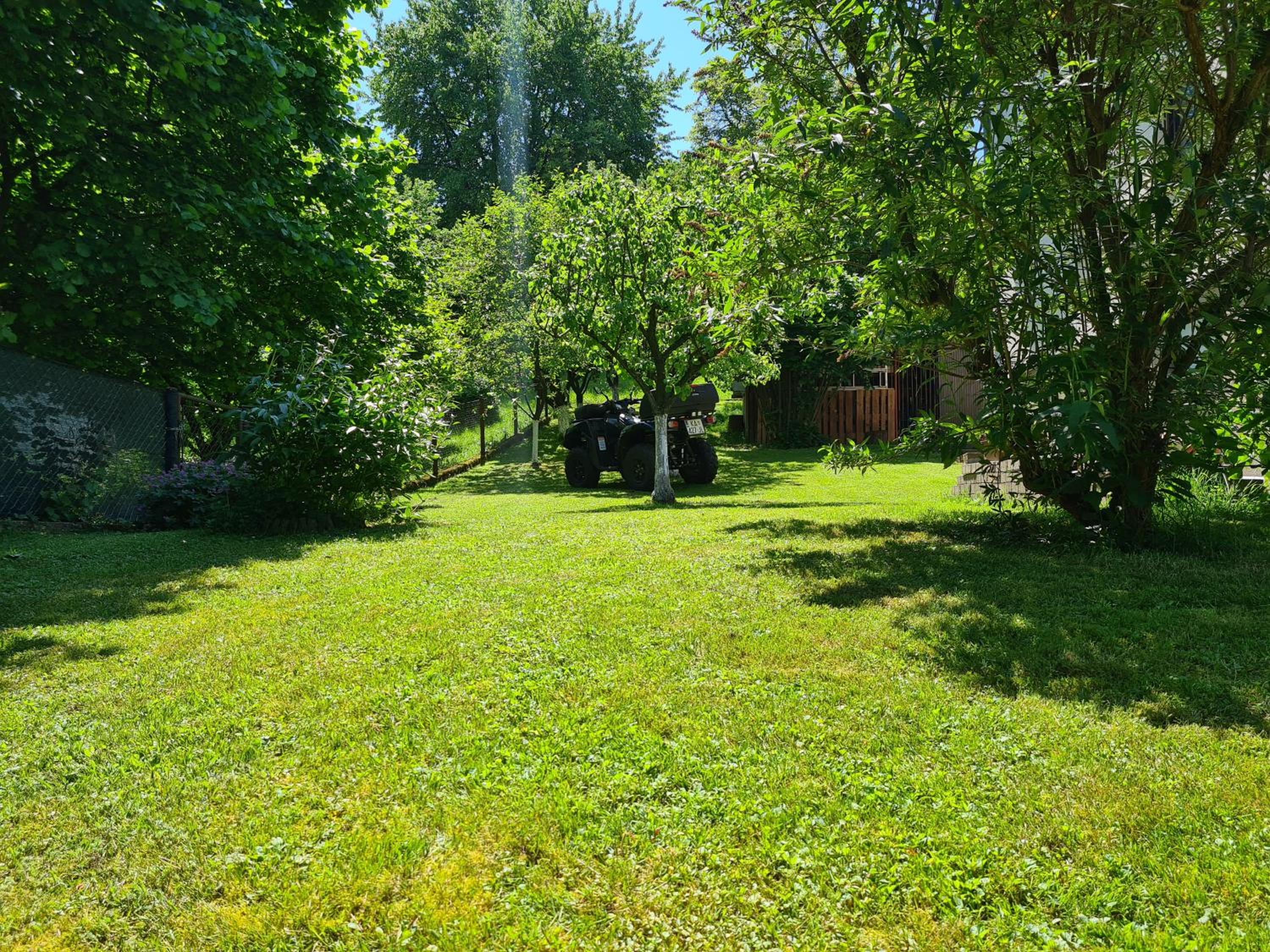Photo 41