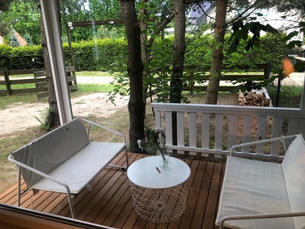 Photo 195