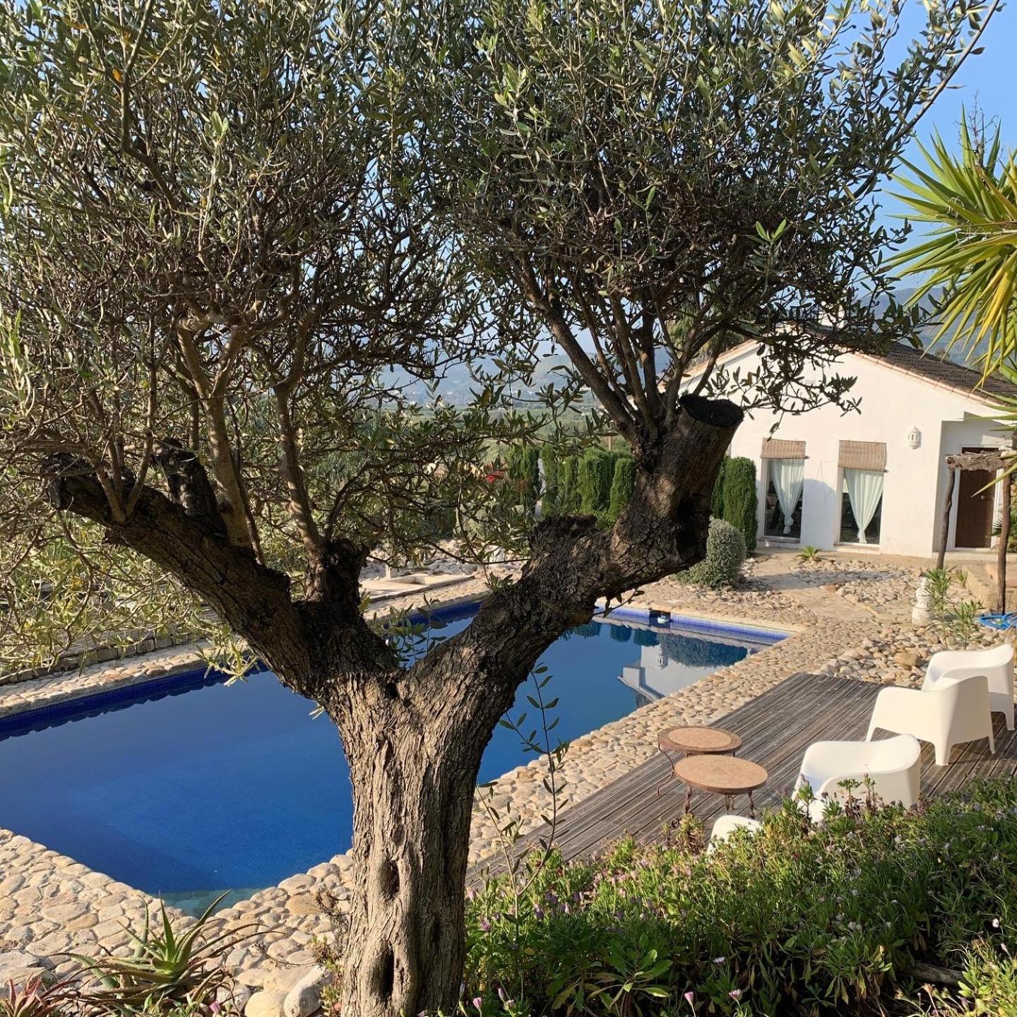 Finca Dariana Padel & Pool