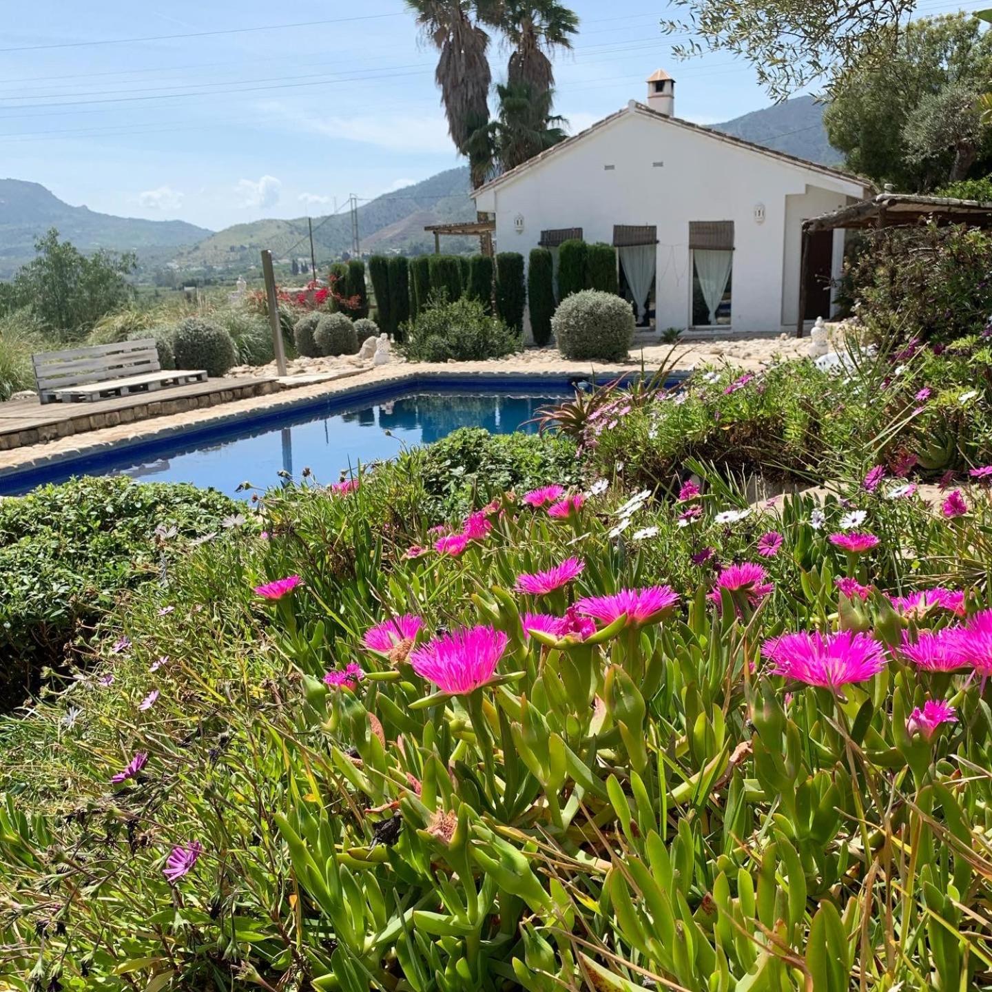 Finca Dariana Padel & Pool