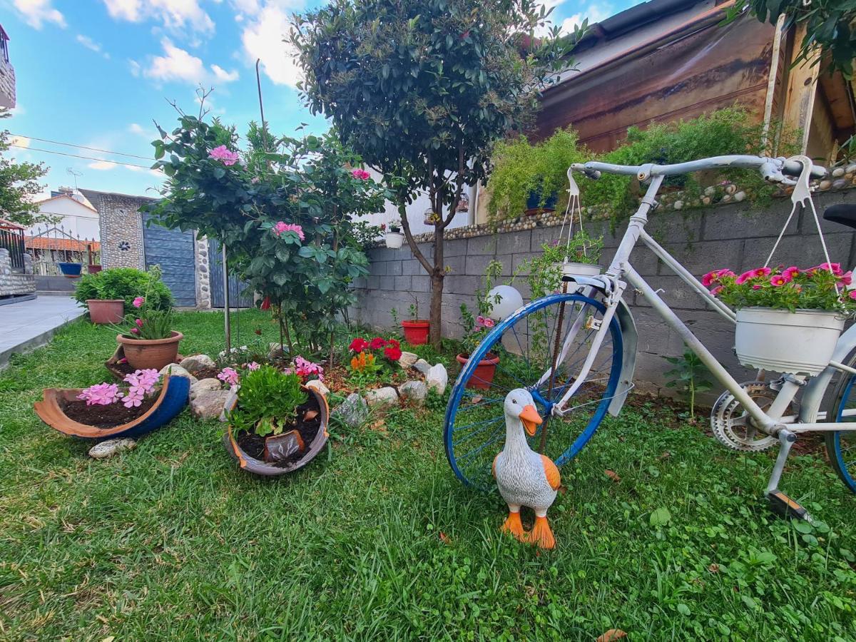 children's play area