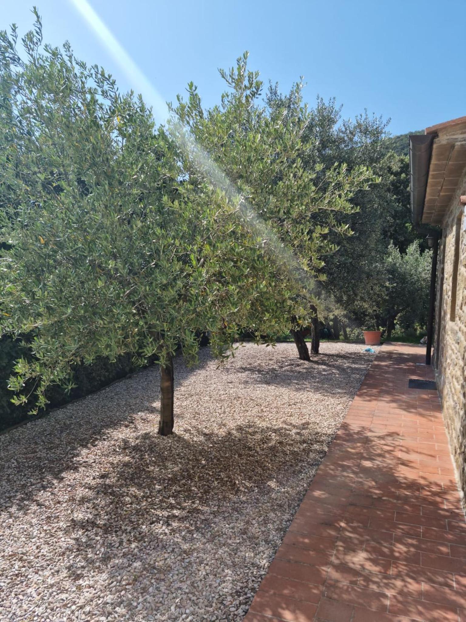 Villa Le Ginestre view 3