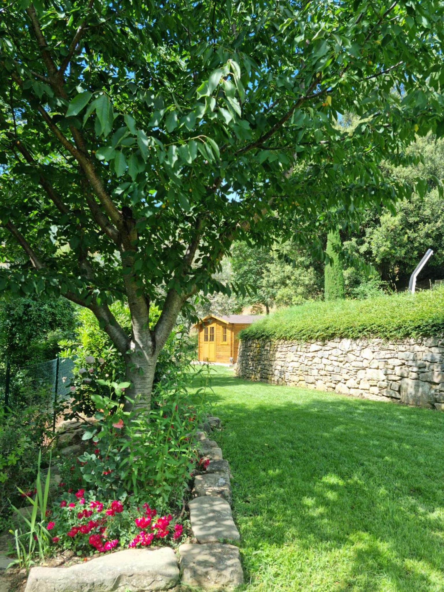 Photo 27