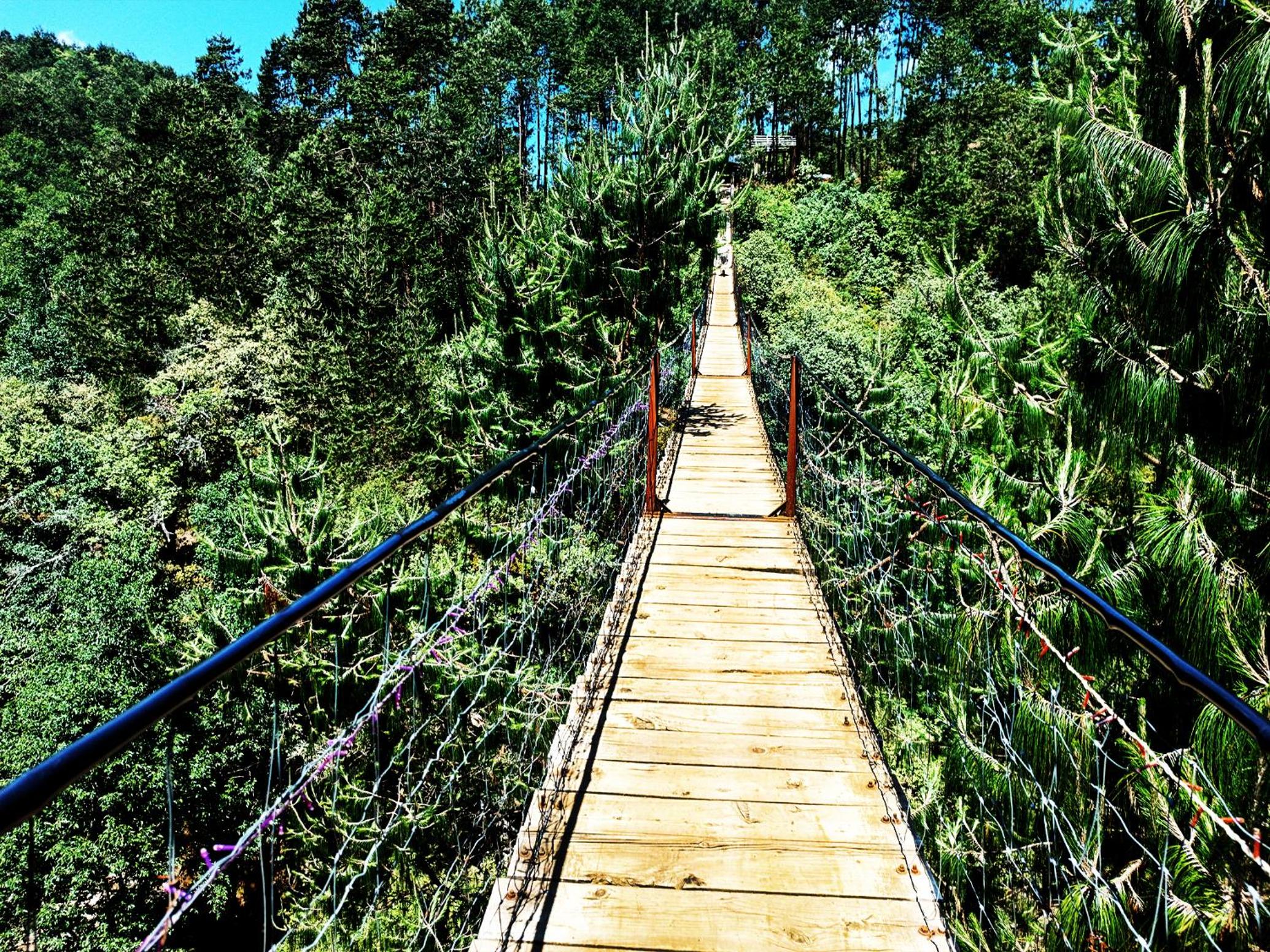 Cabaña en medio del bosque ZA