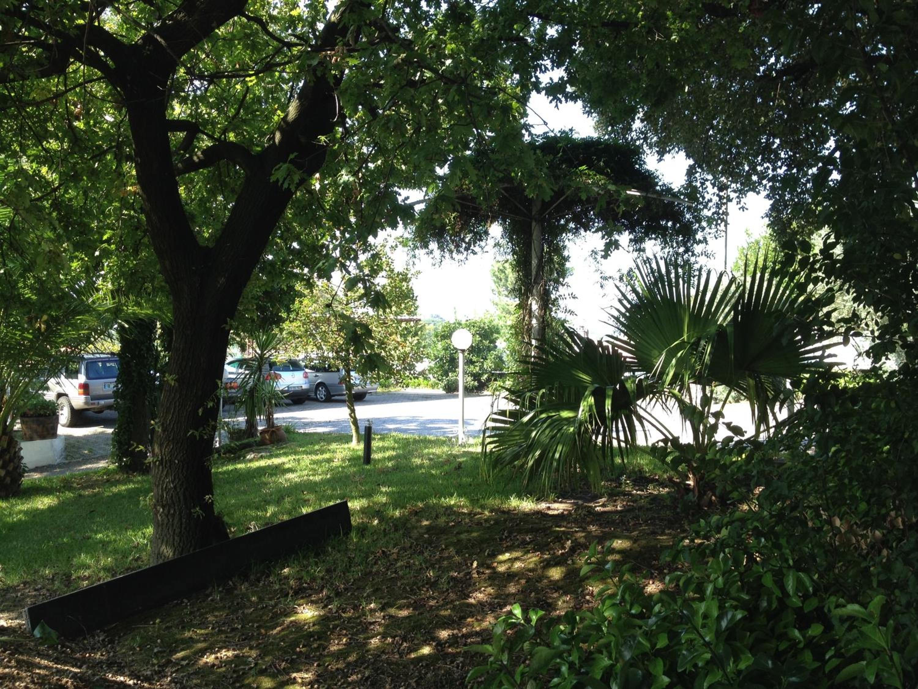 Photo 19