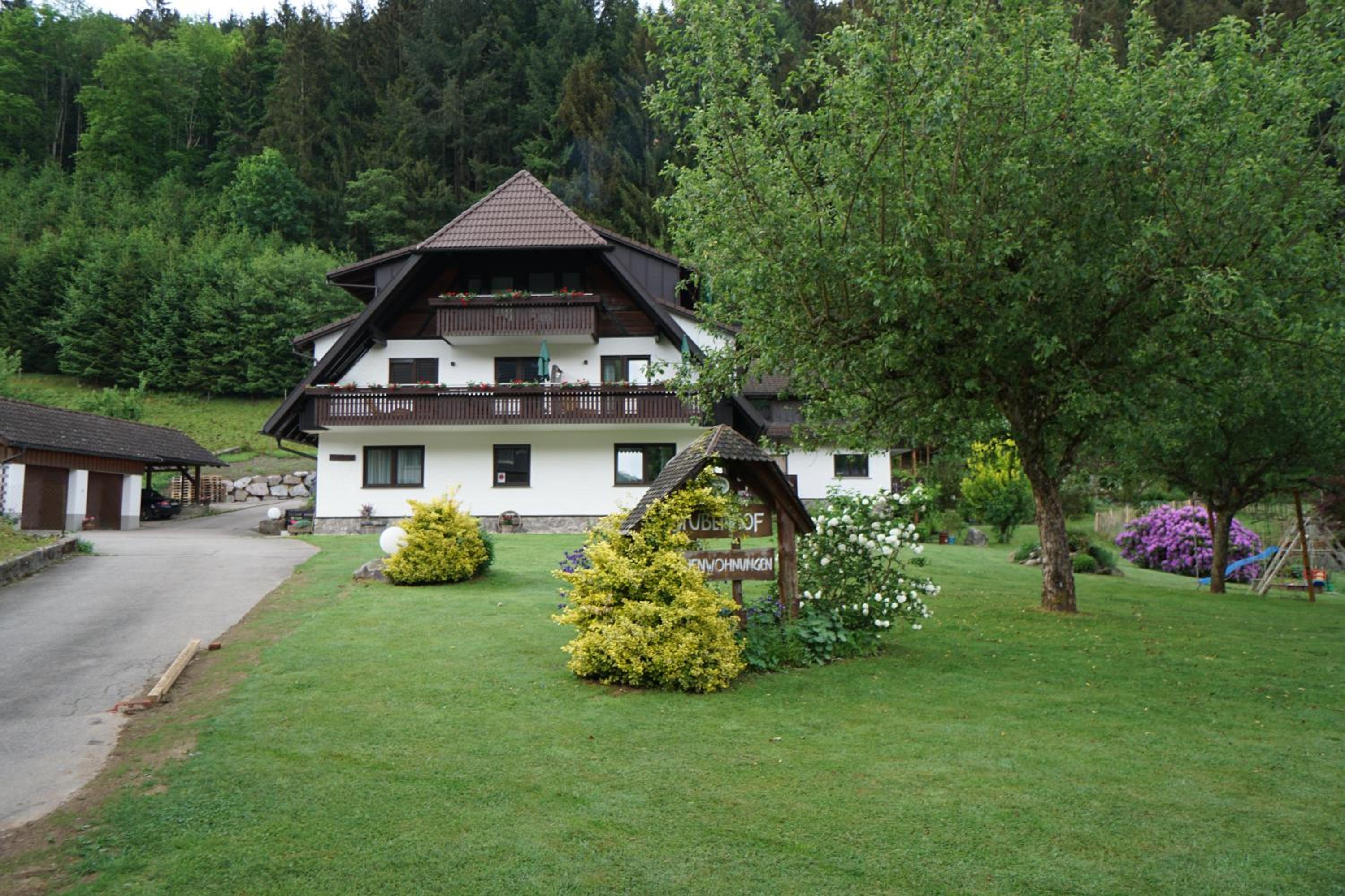 Schultiskopf - Stubenhof, Black Forest view 5