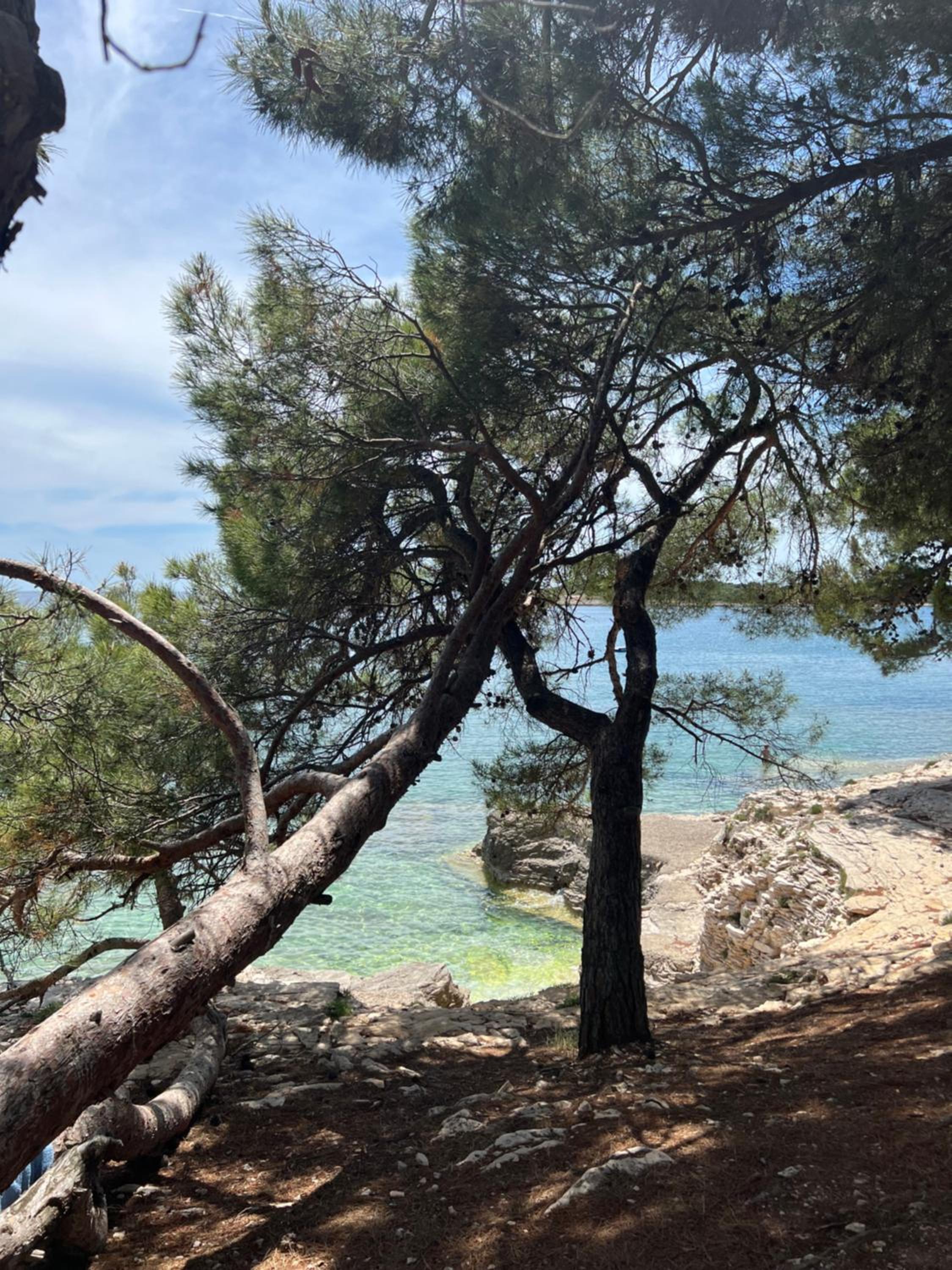 Istria Banjole
