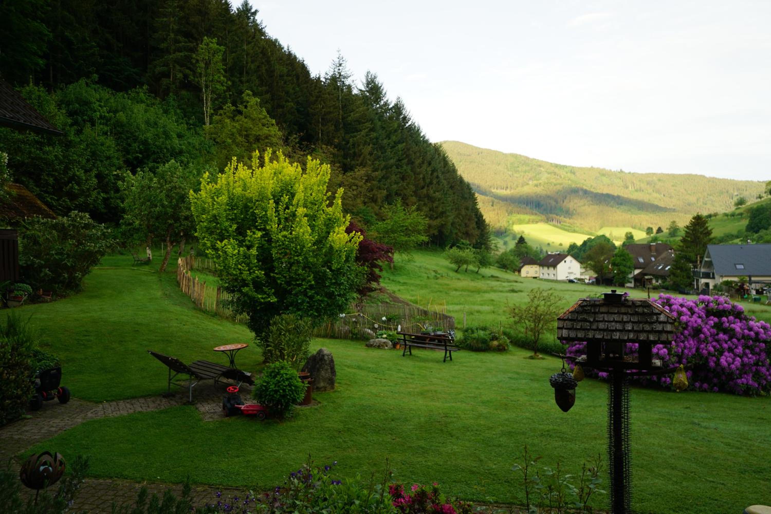 Gummeneck - Stubenhof, Black Forest view 2