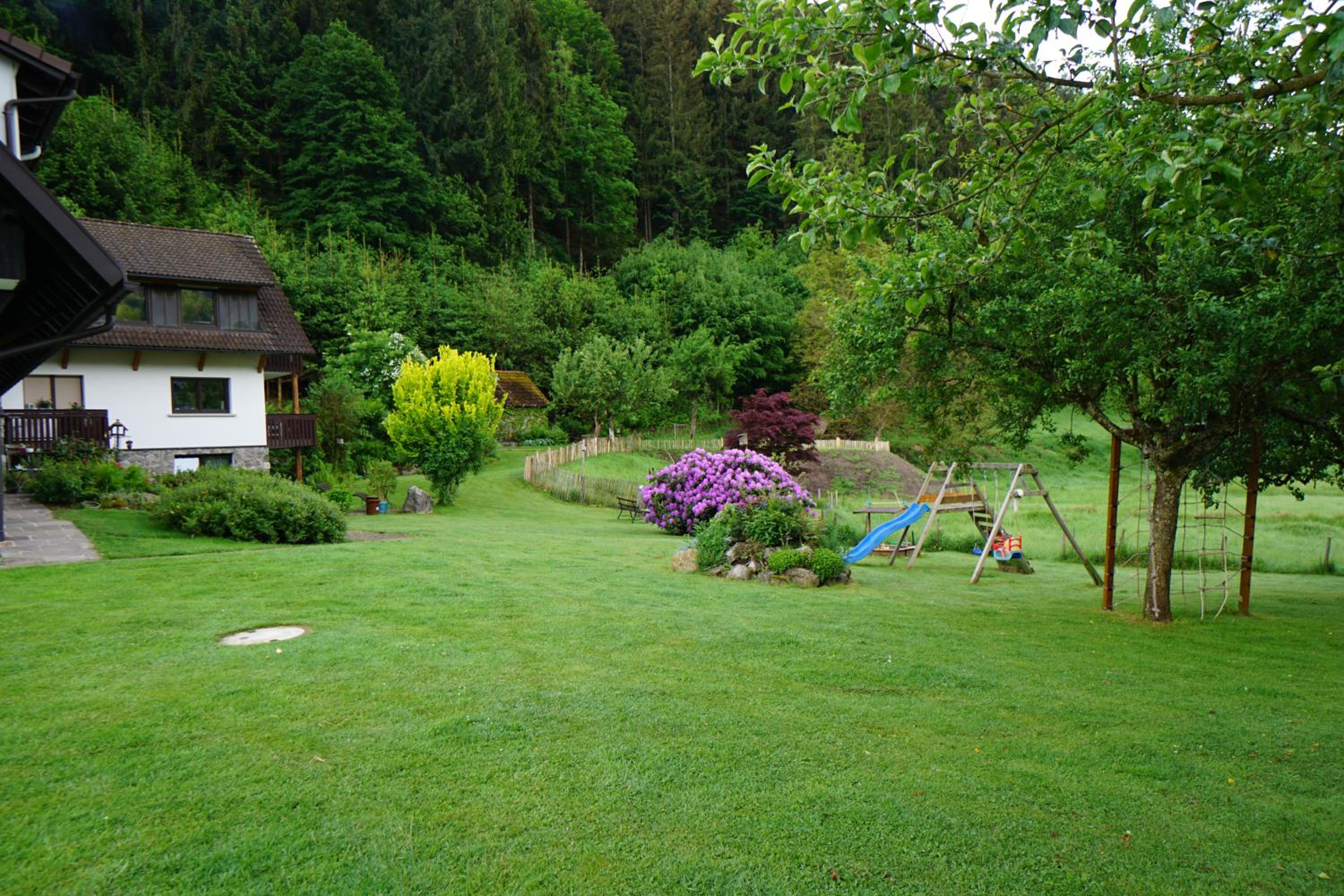 Gummeneck - Stubenhof, Black Forest view 3