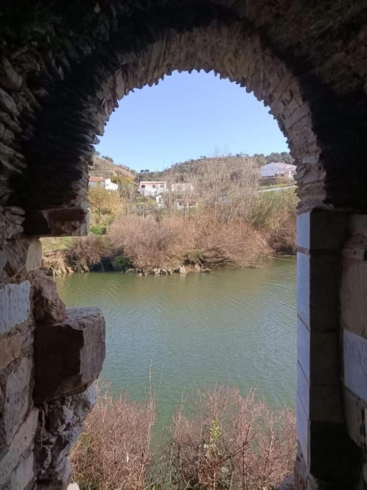Photo 43