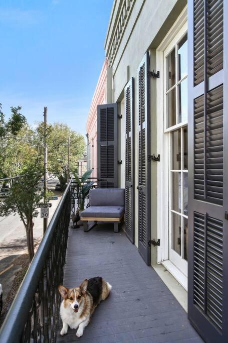 Historic Garden District 5BR with Parking and Balcony view 4