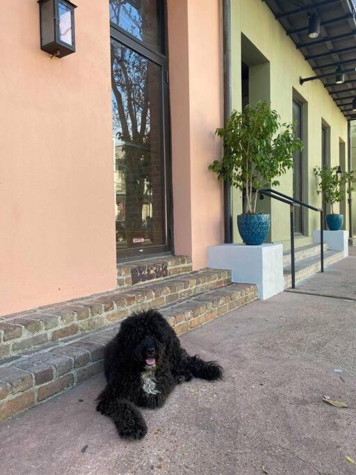 Historic Garden District 5BR with Parking and Balcony view 2