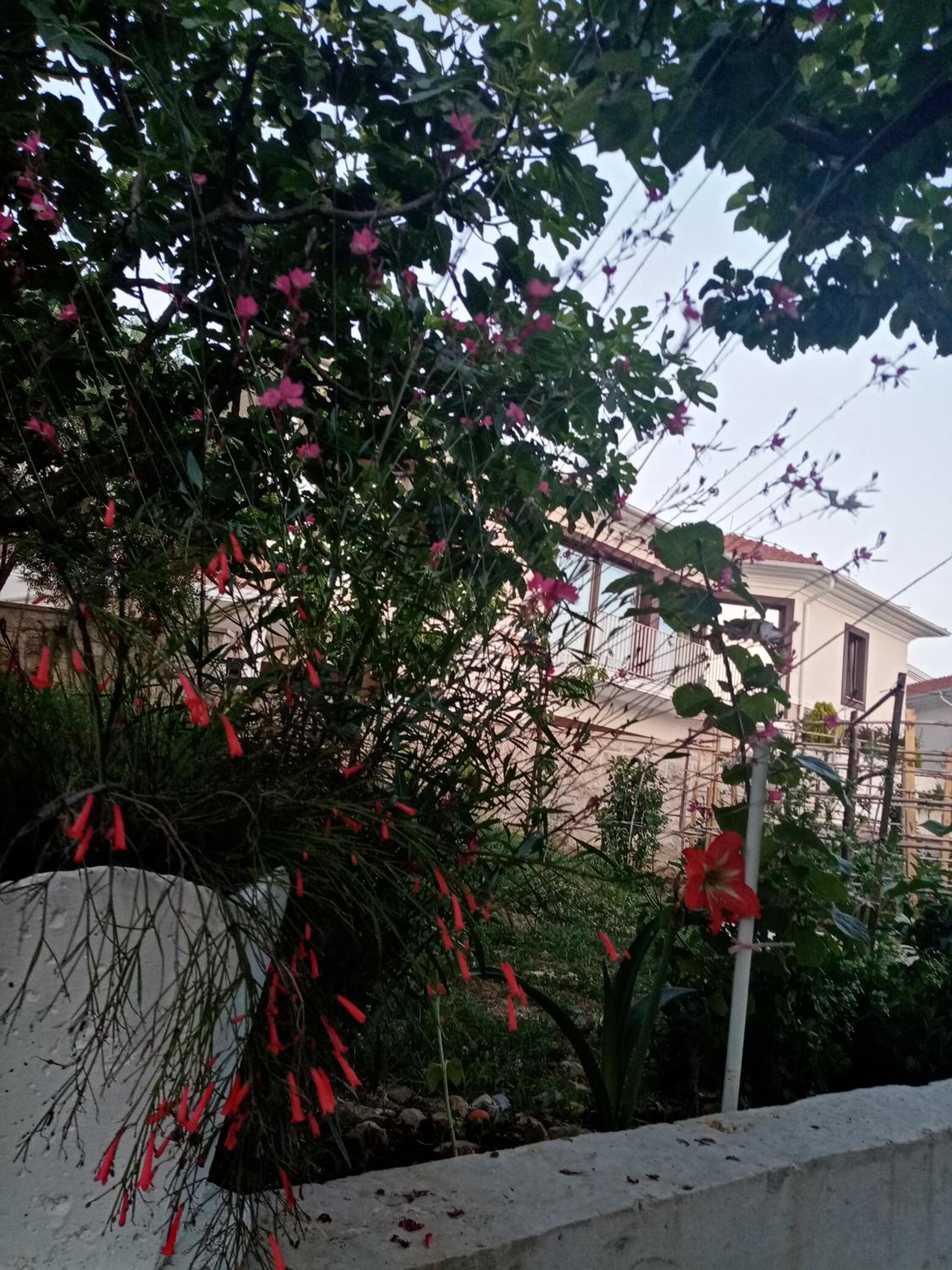 Photo 31