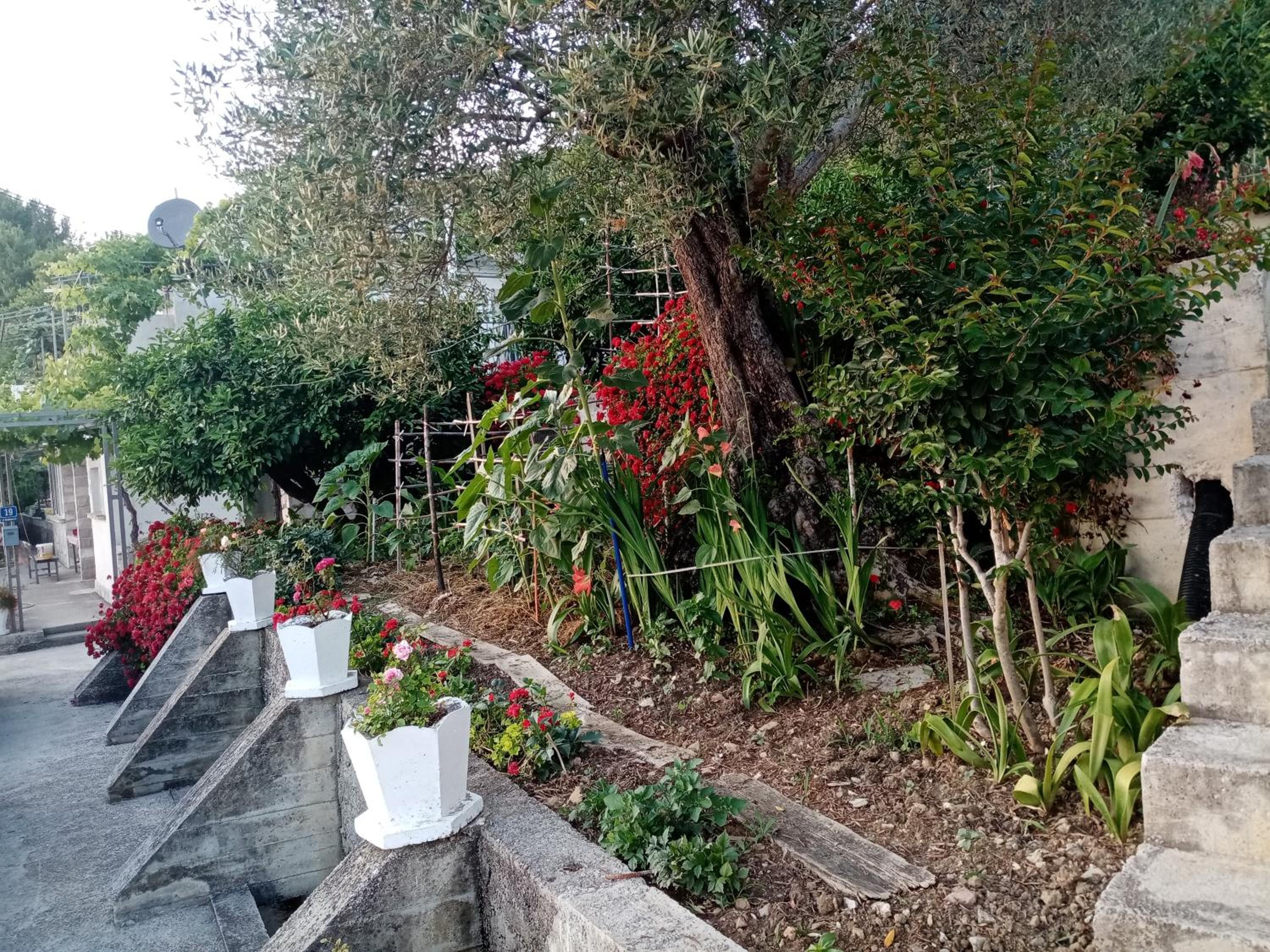 Photo 32