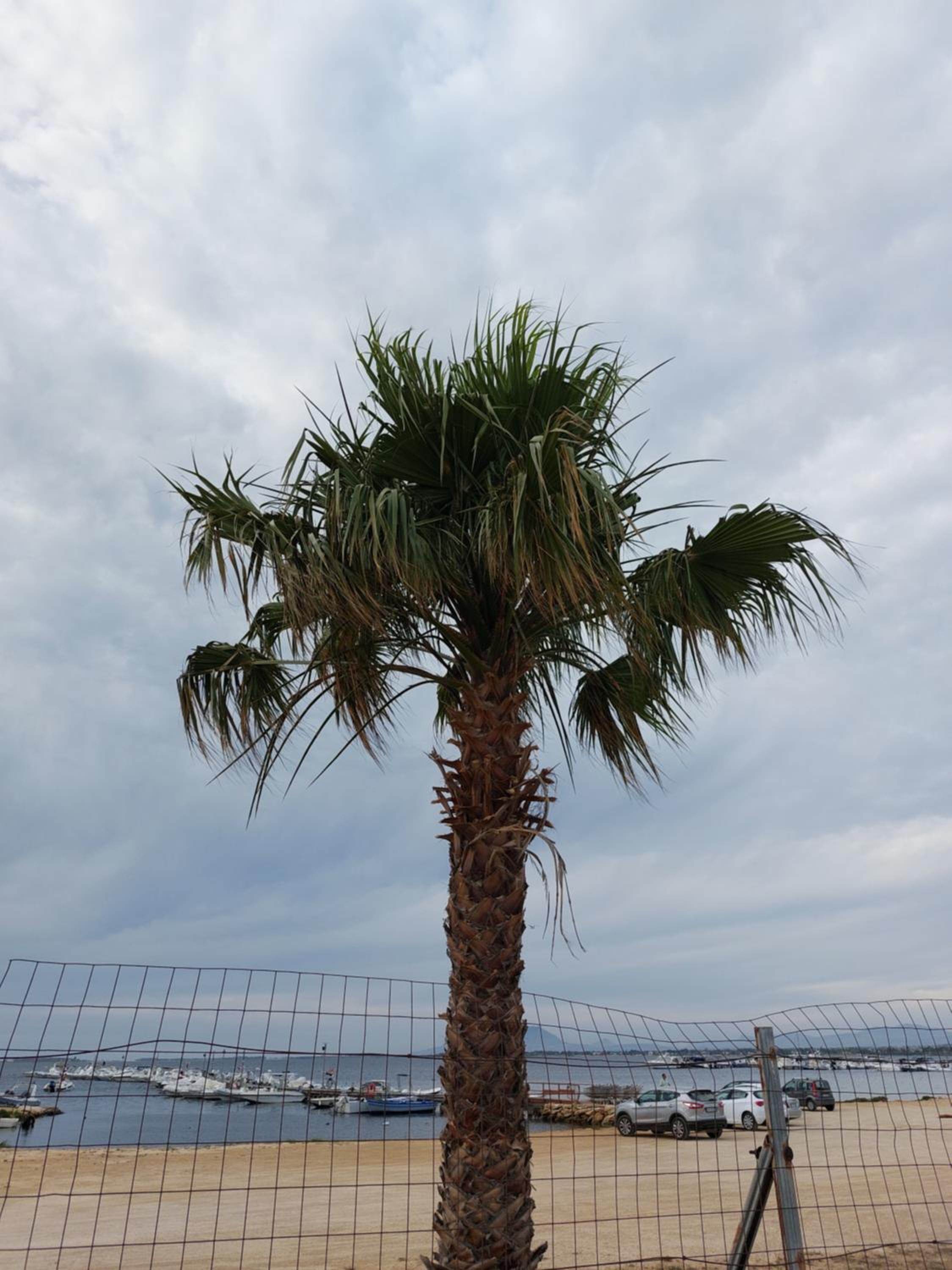 L'APPARTAMENTO DEL MARE view 3
