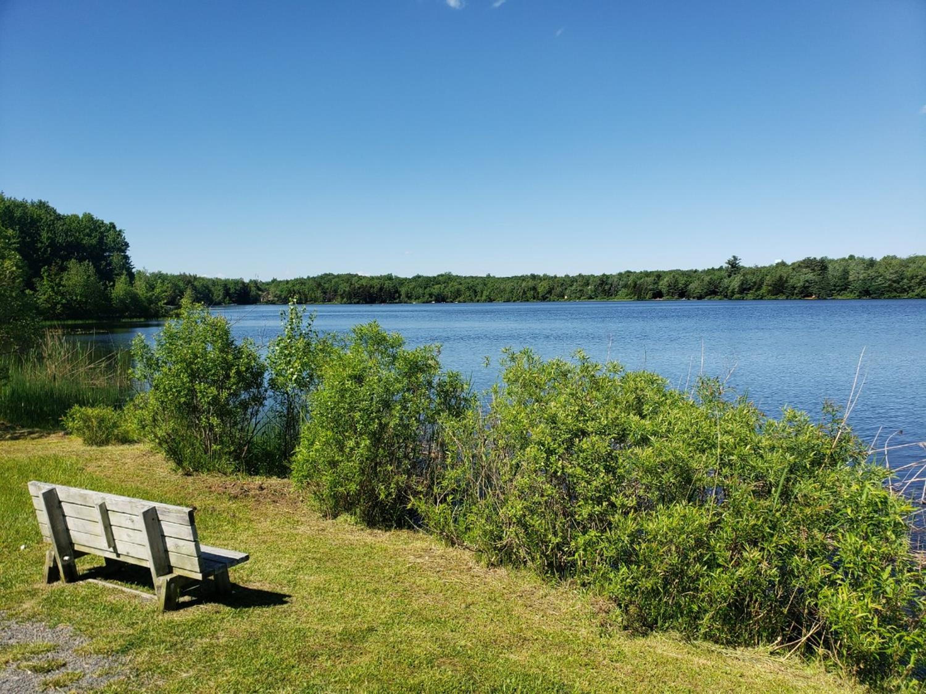 Simply Stunning 4BD House Among Lakes with Gameroom & Sauna view 5