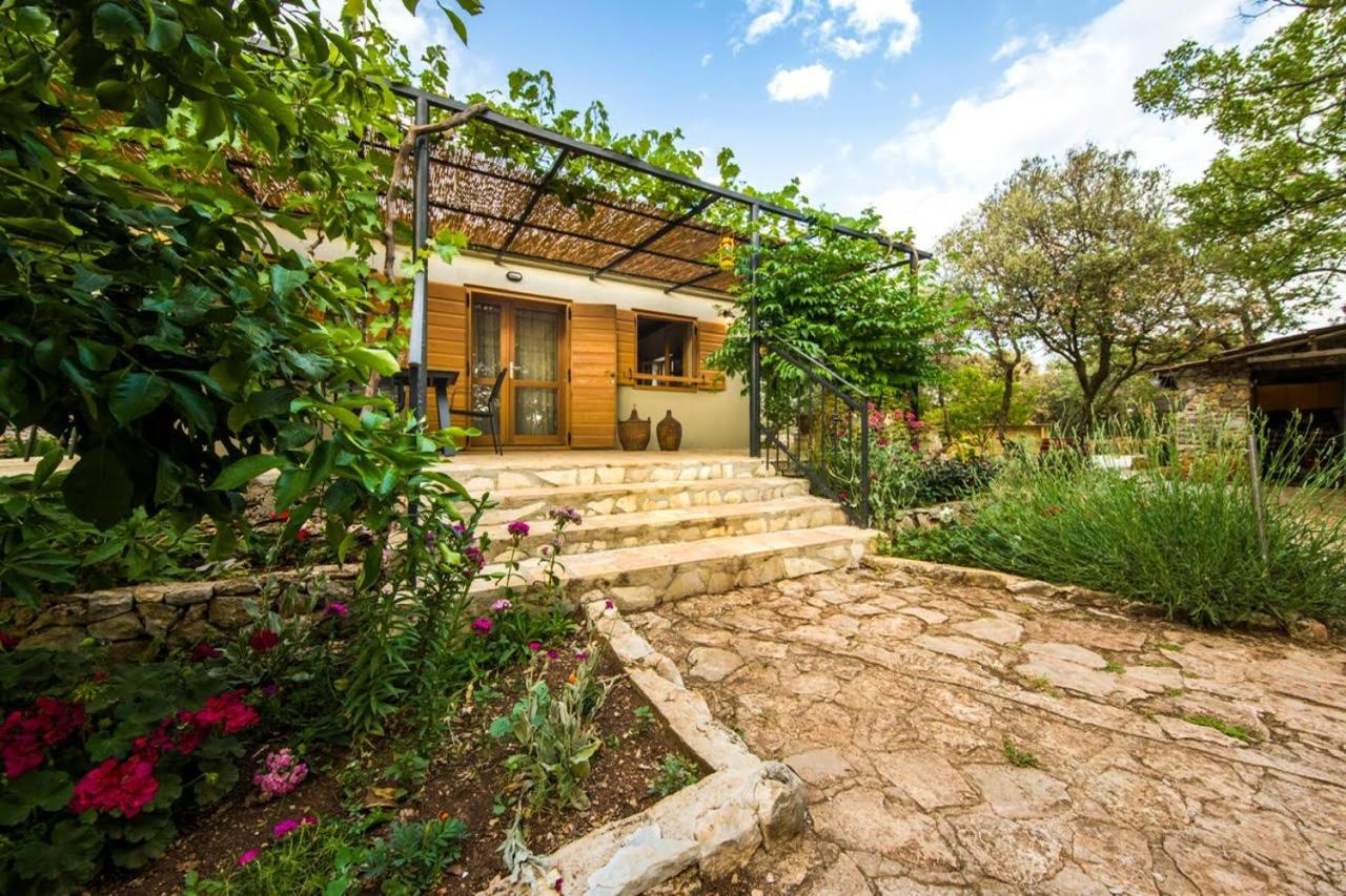Holiday Estate "Bujur" - private pool, surrounded by nature! view 2