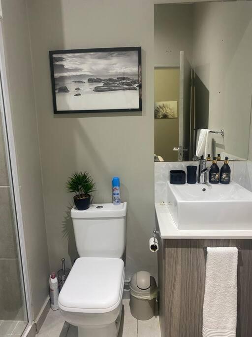 Stylish Dante’s 1-bedroom condo free Wifi & Cinema