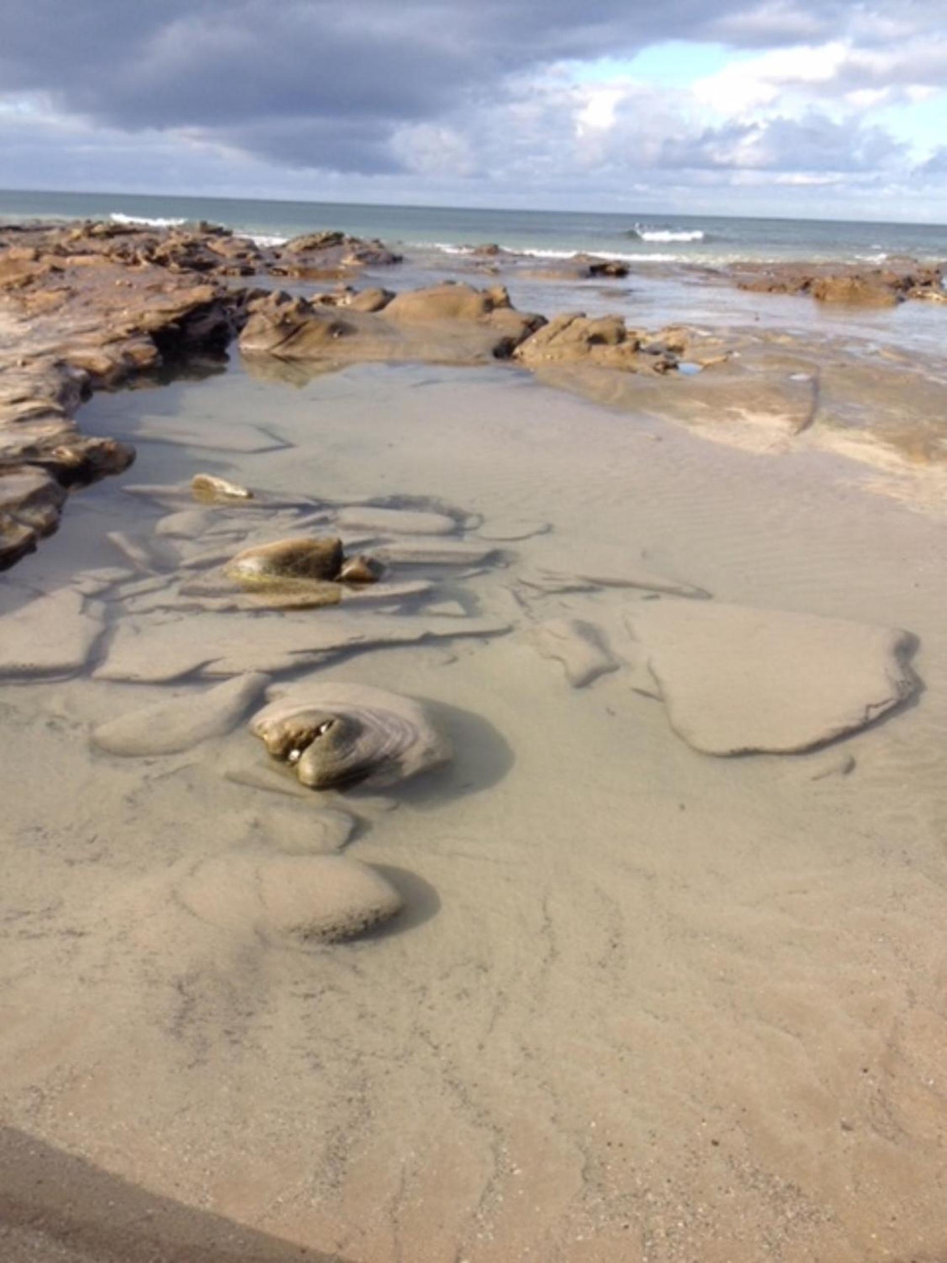 Surfside Getaway in Picturesque Inverloch