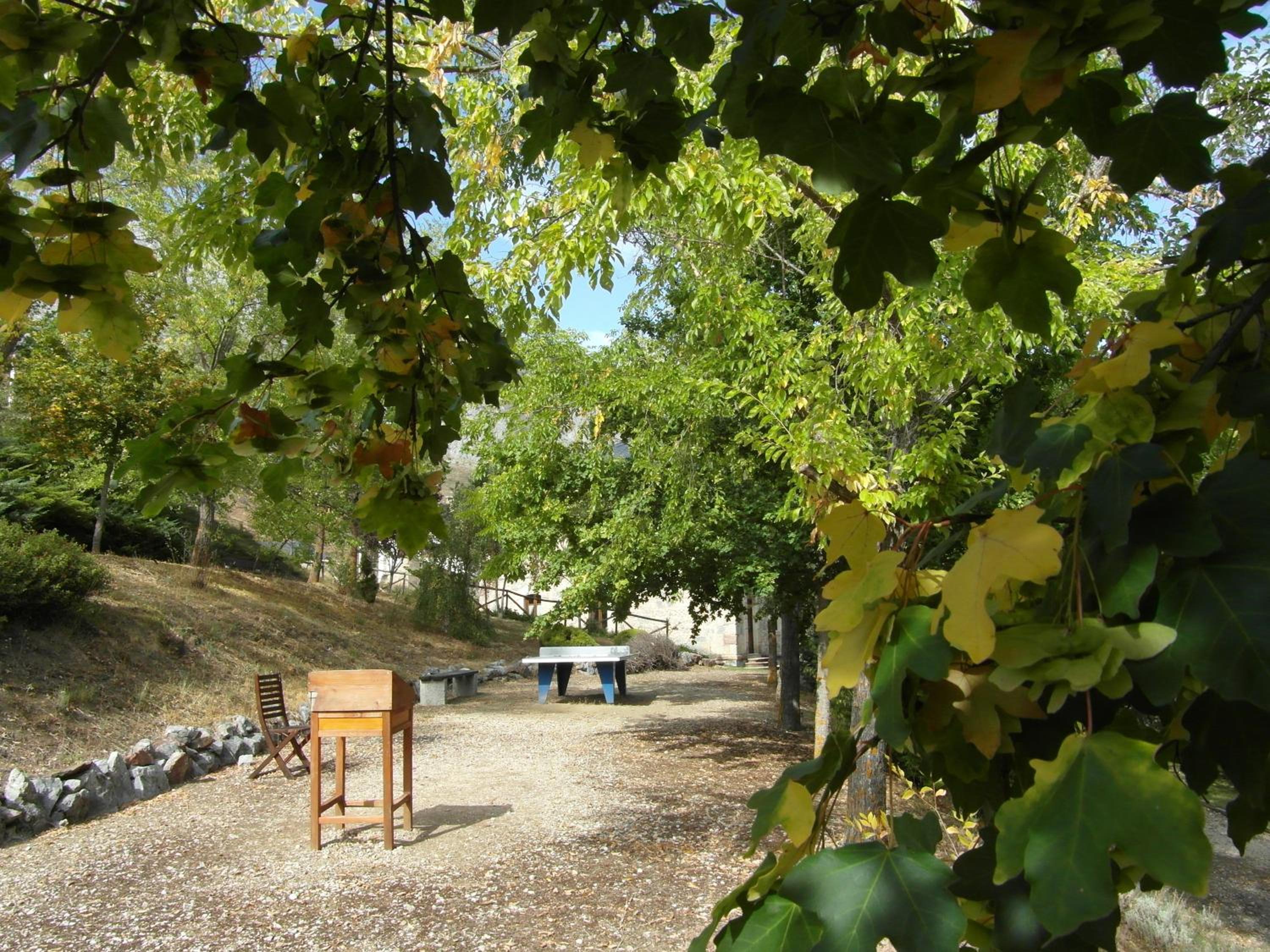 Photo 27