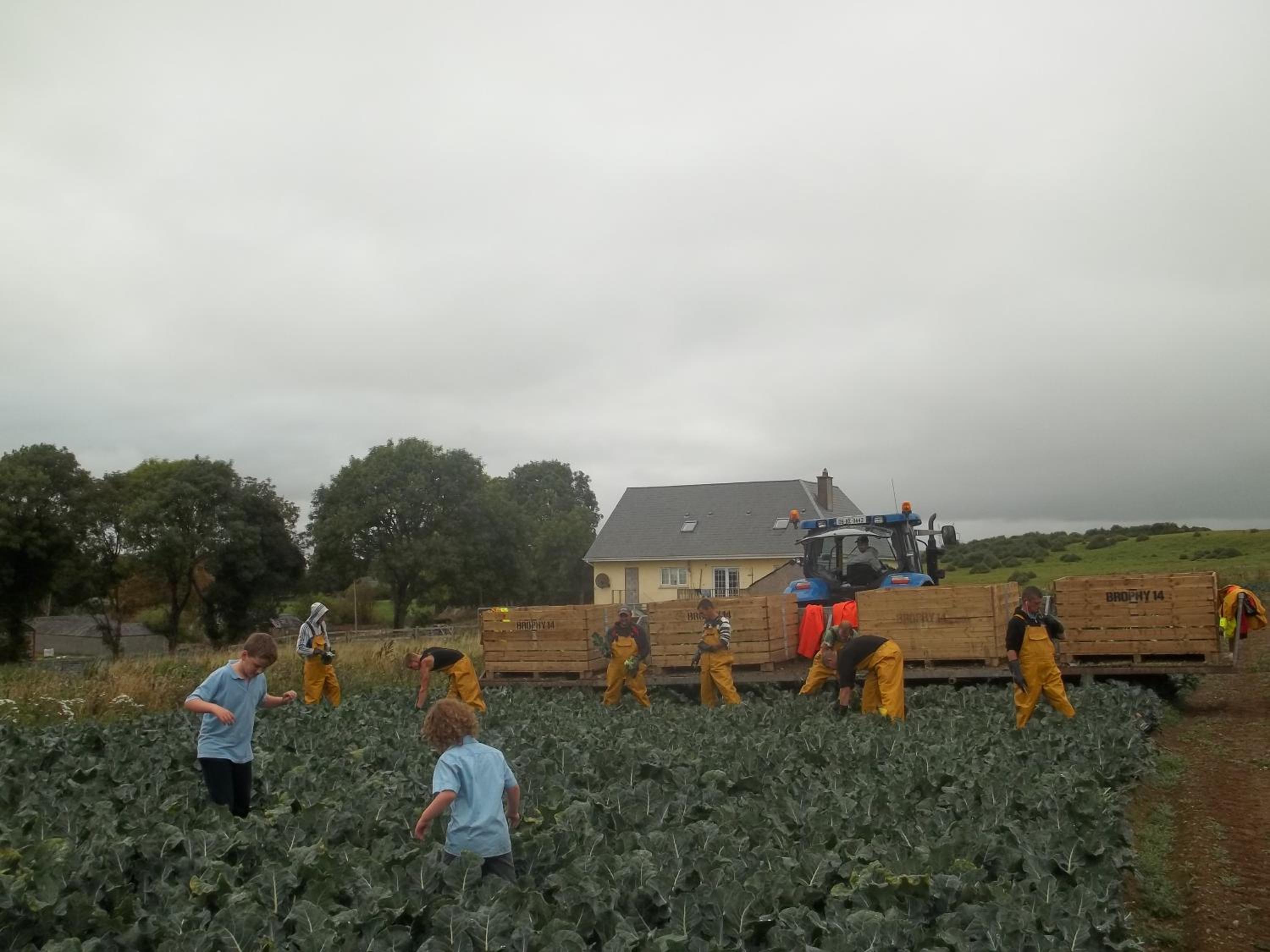 Photo 16