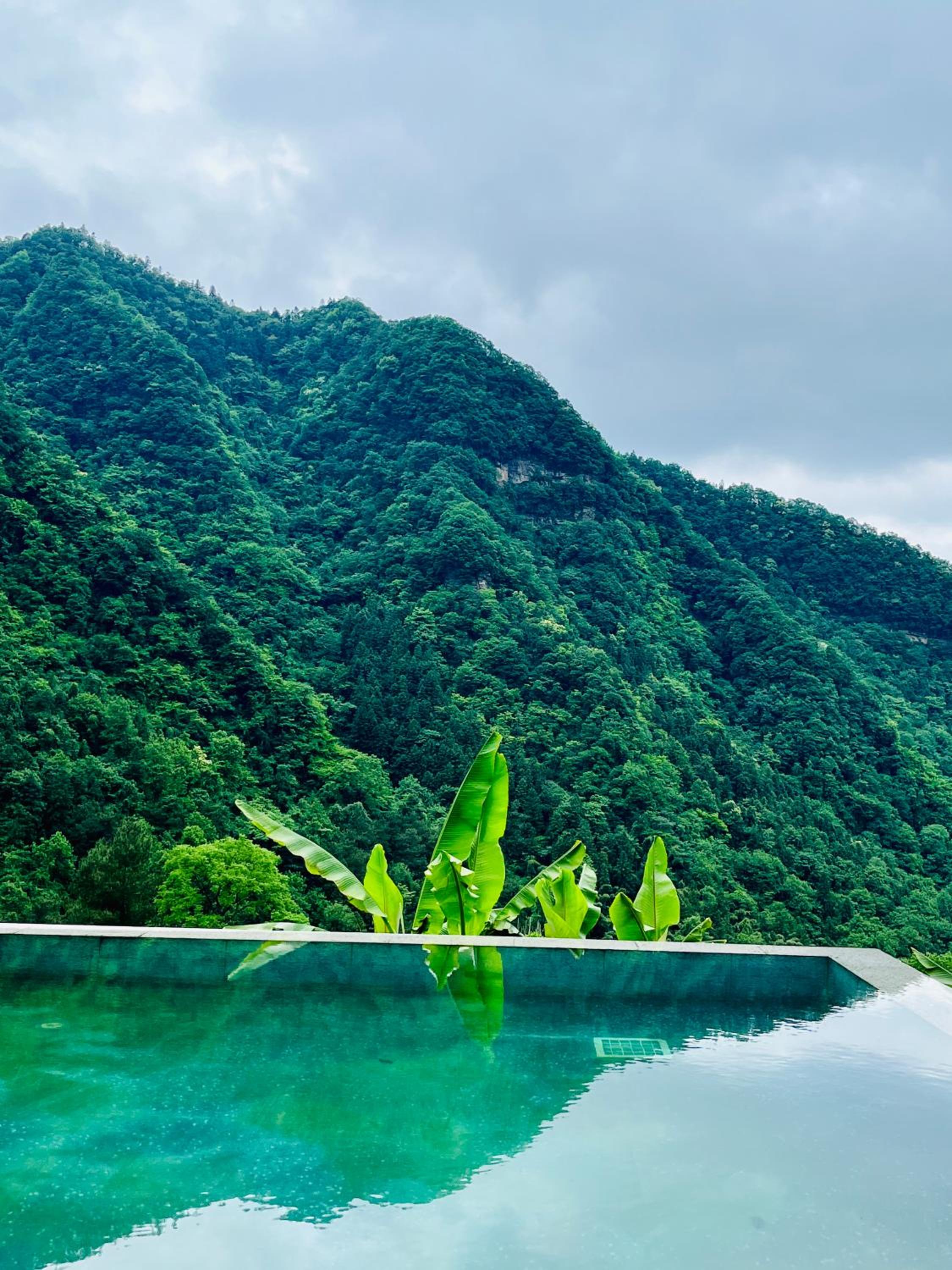 Zhangjiajie national park Purespace --2nights 1free pick-up&book tickets&5min to park