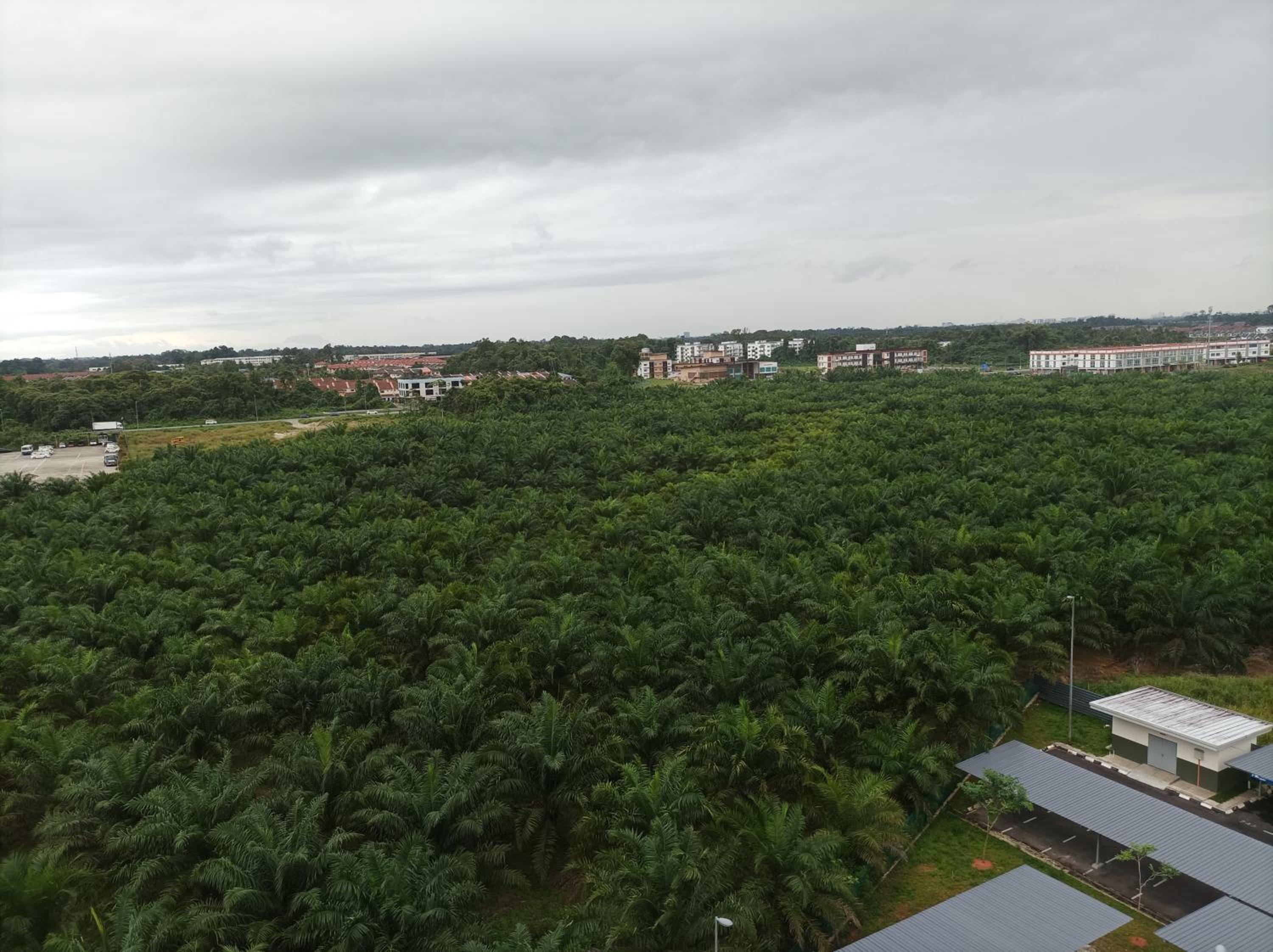 Ike village homestay near with UITM photo 8