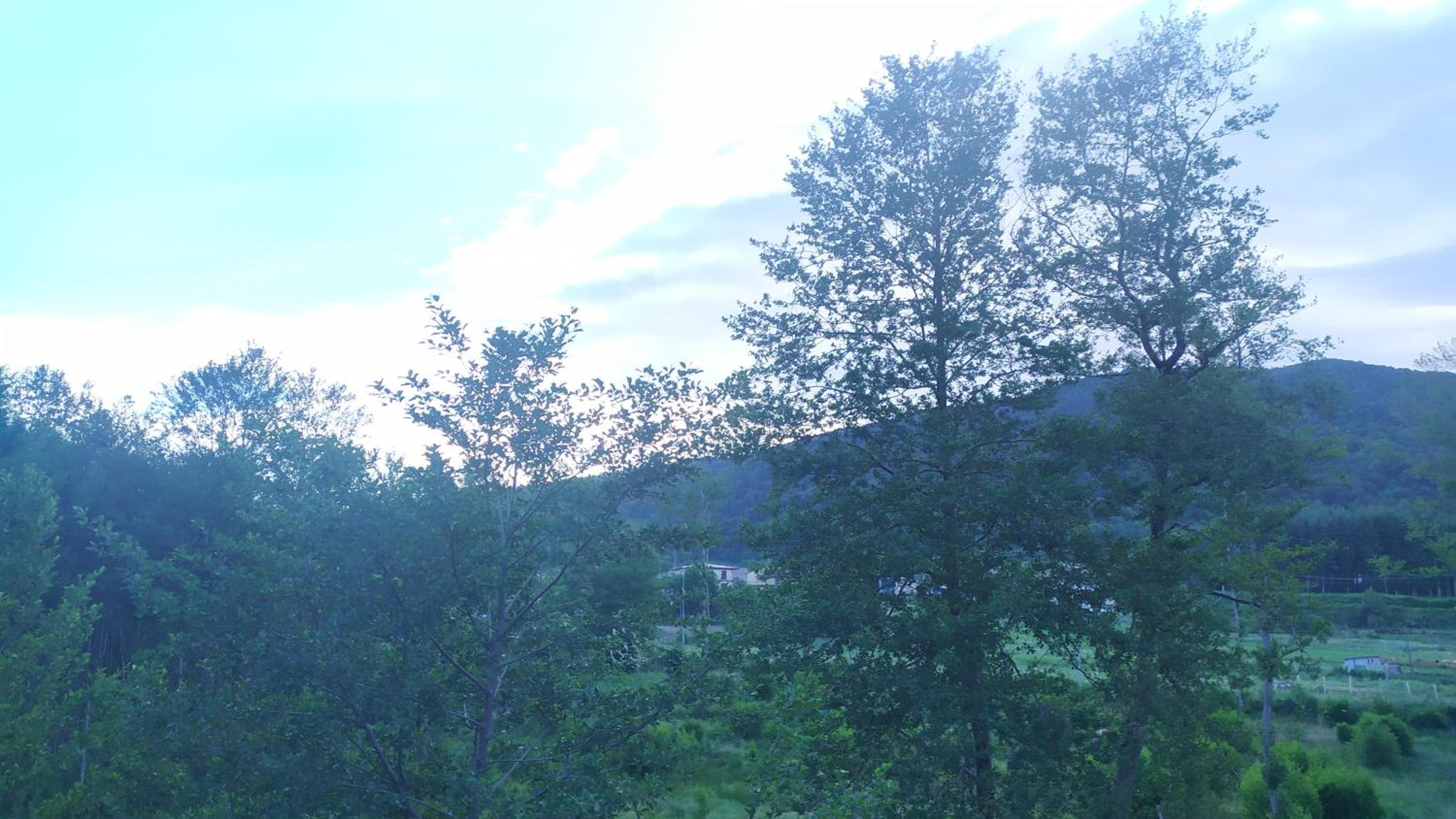 Abete Bianco view 5