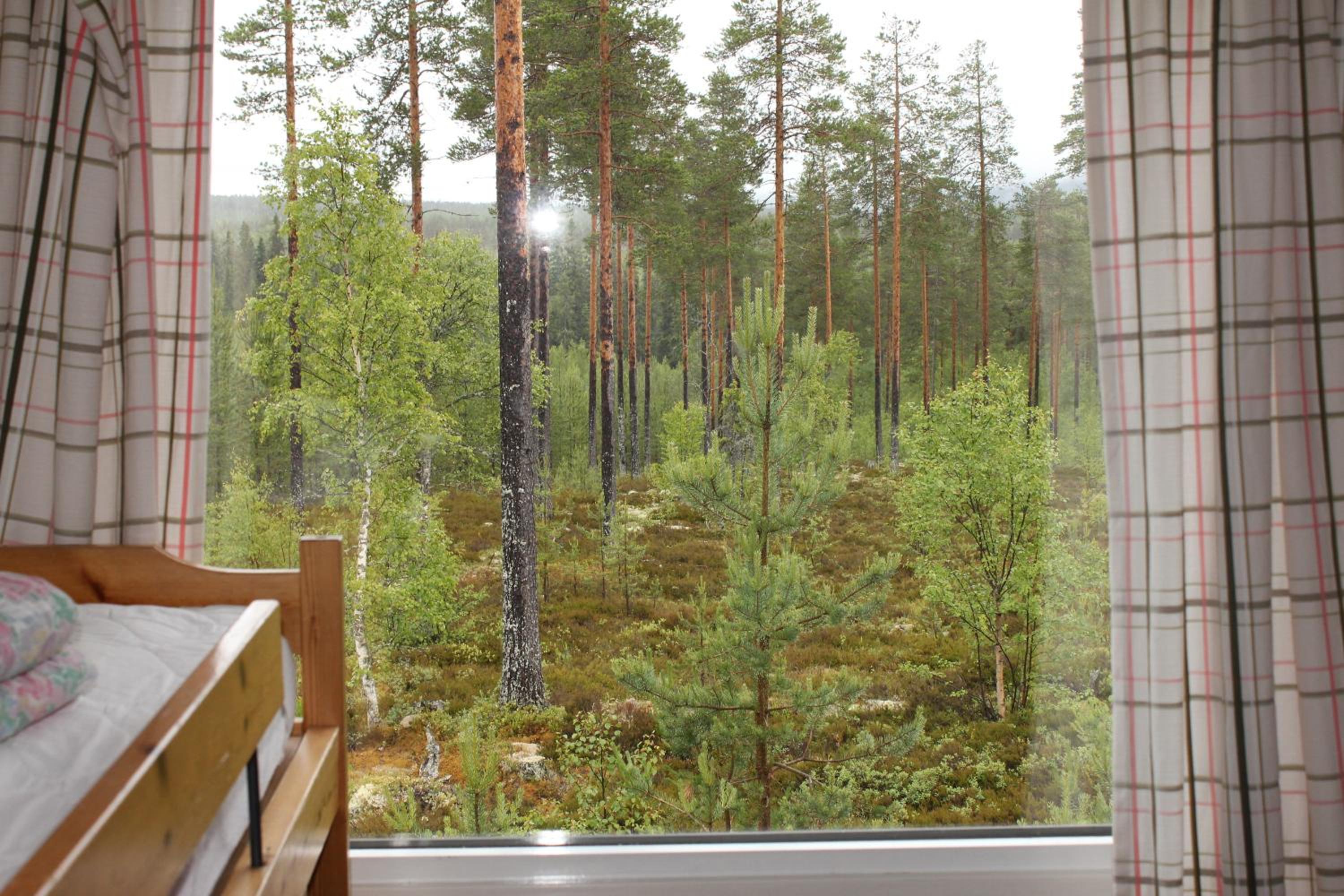 Sälens Vandrarhem i Gräsheden