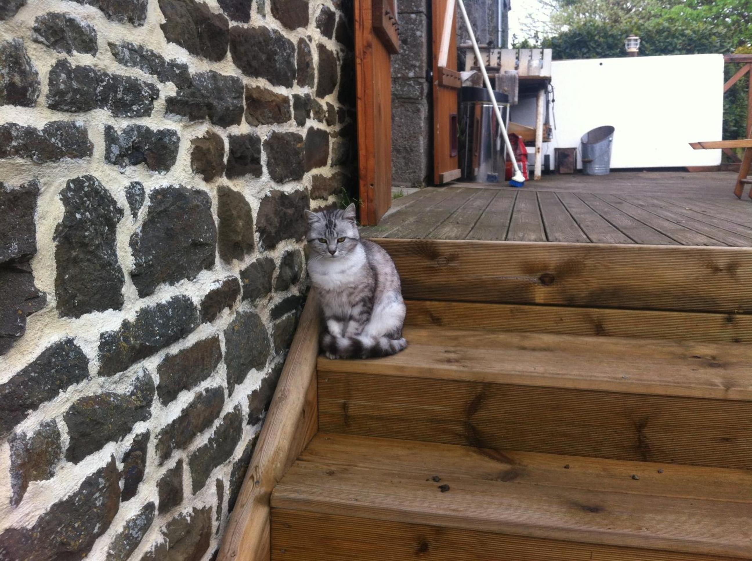 Photo 16