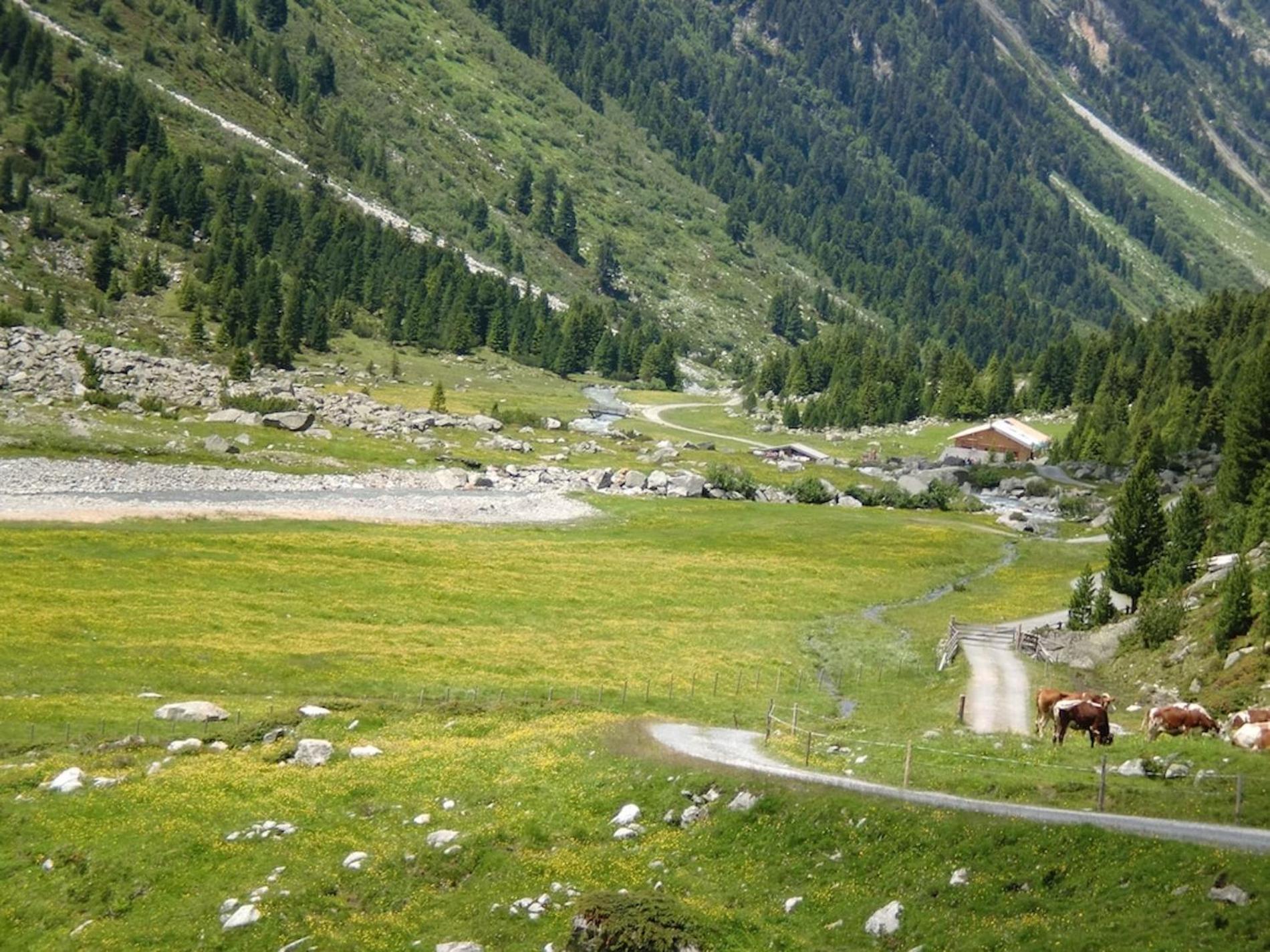 Ferienhaus Obersäuling im Sommer