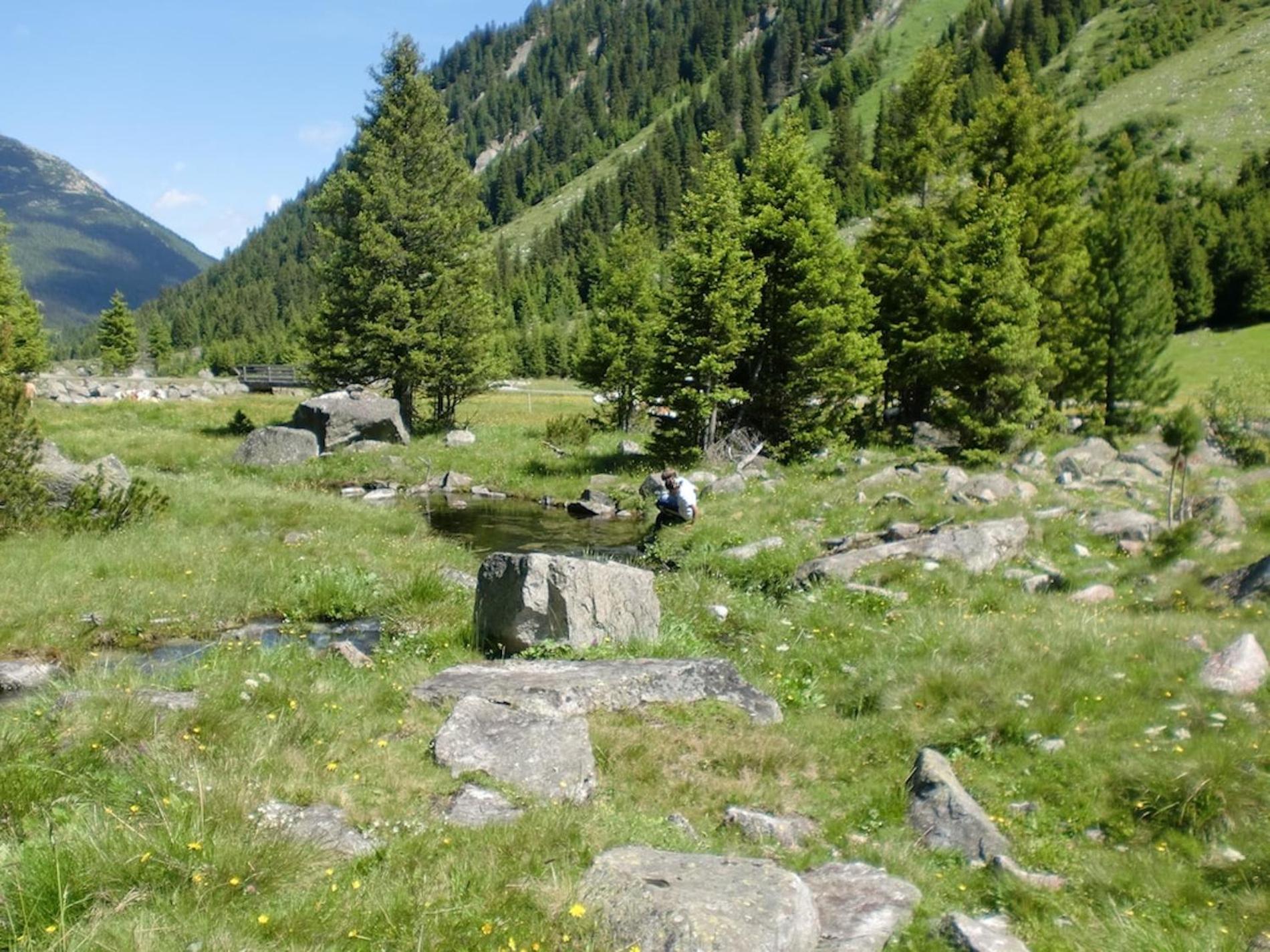 Ferienhaus Obersäuling im Sommer