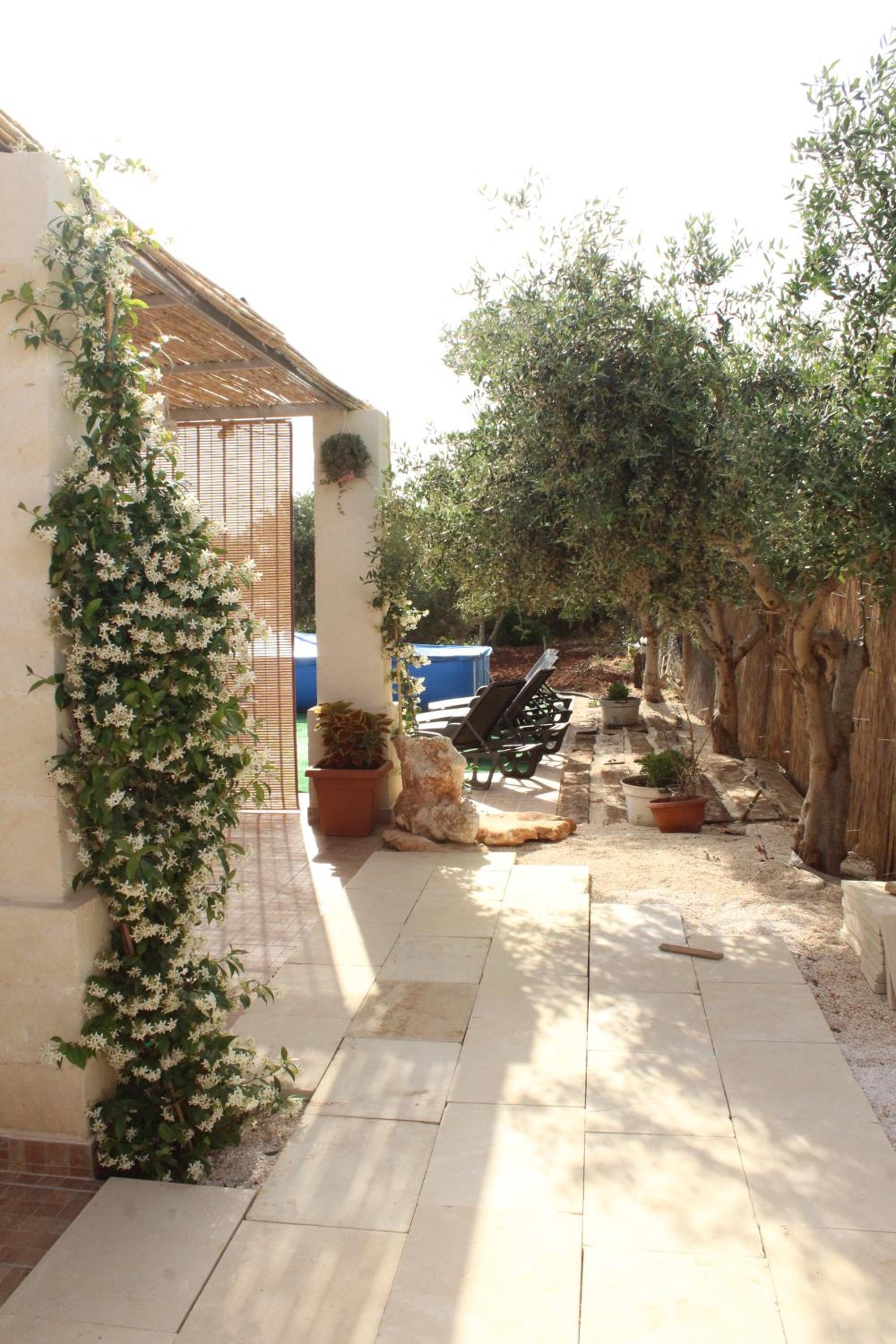 Photo 28