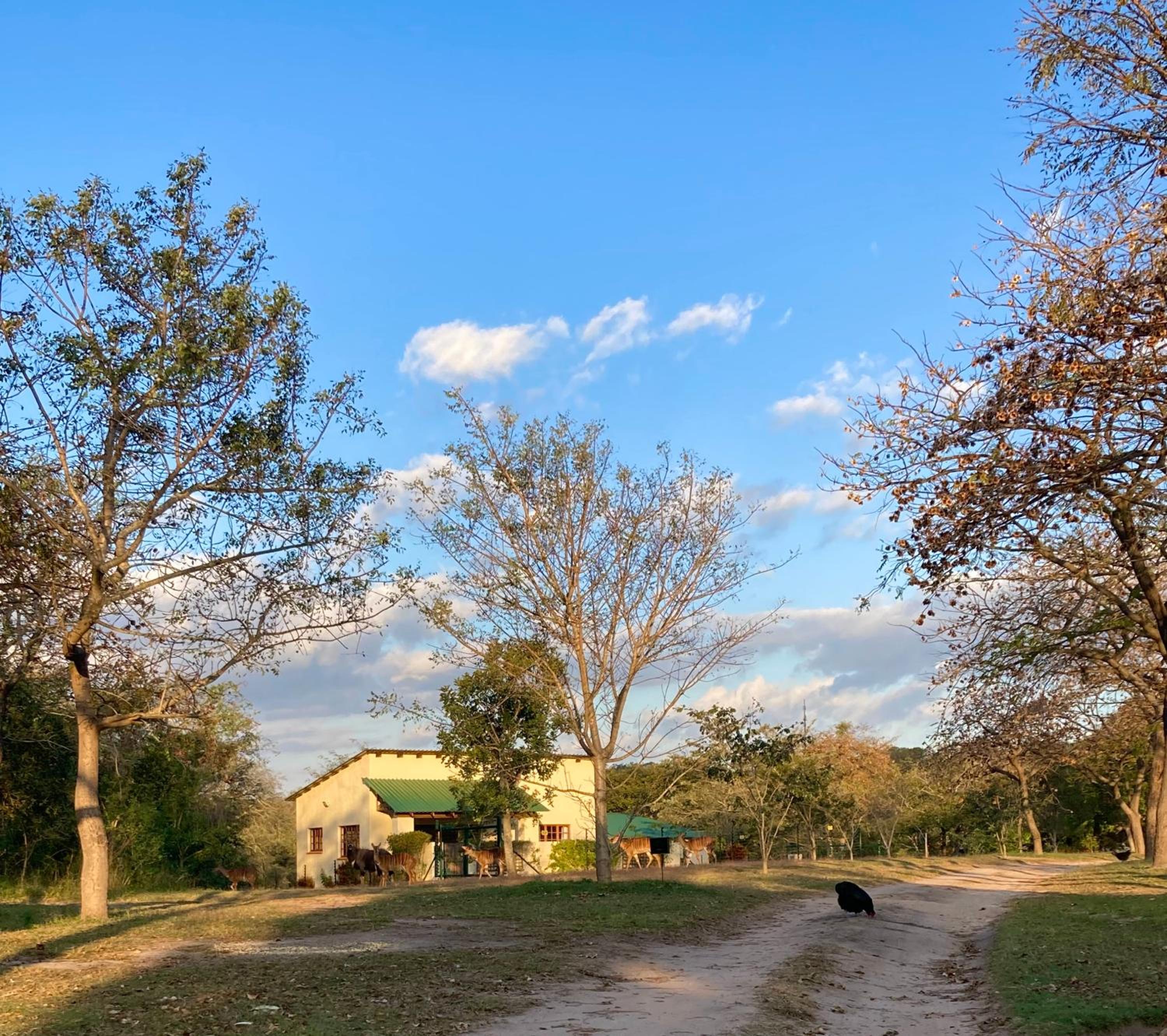 Bergdale Cottages view 3