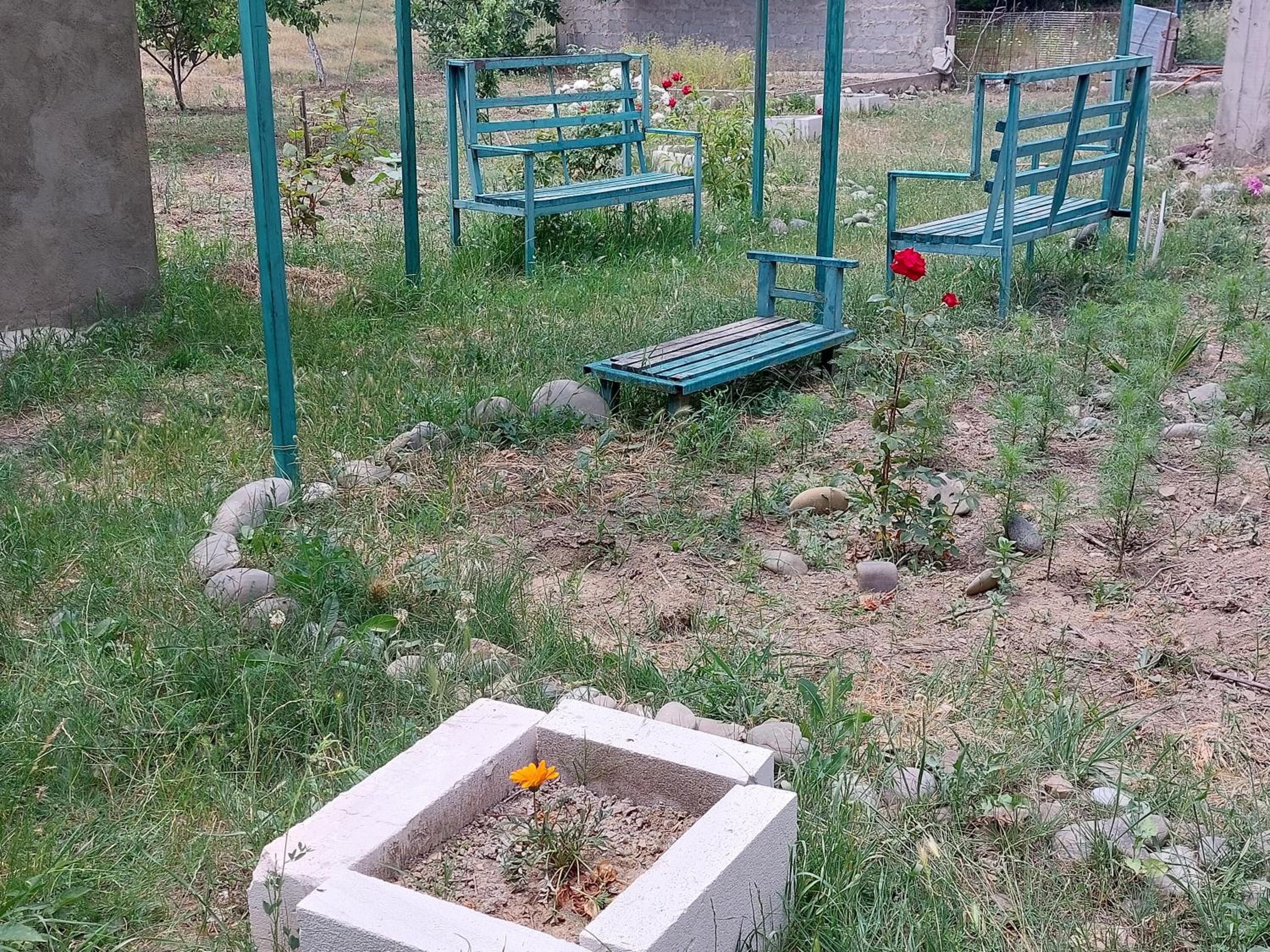 Photo 31