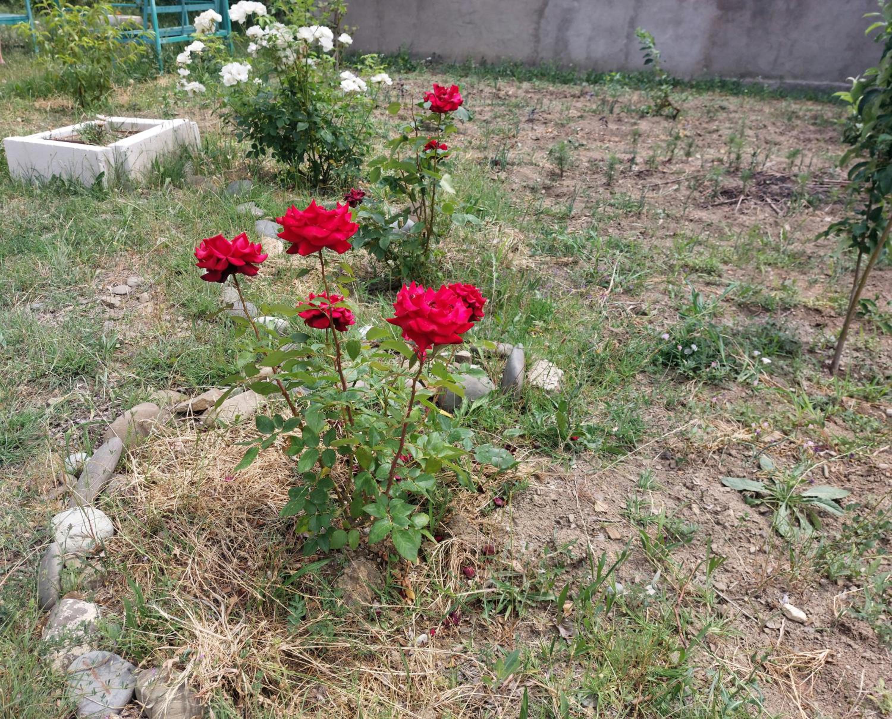 Photo 28