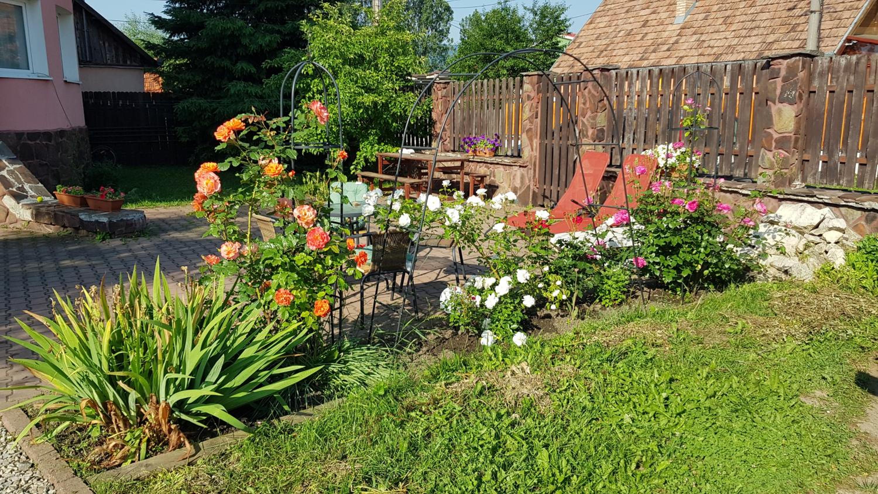 Photo 23
