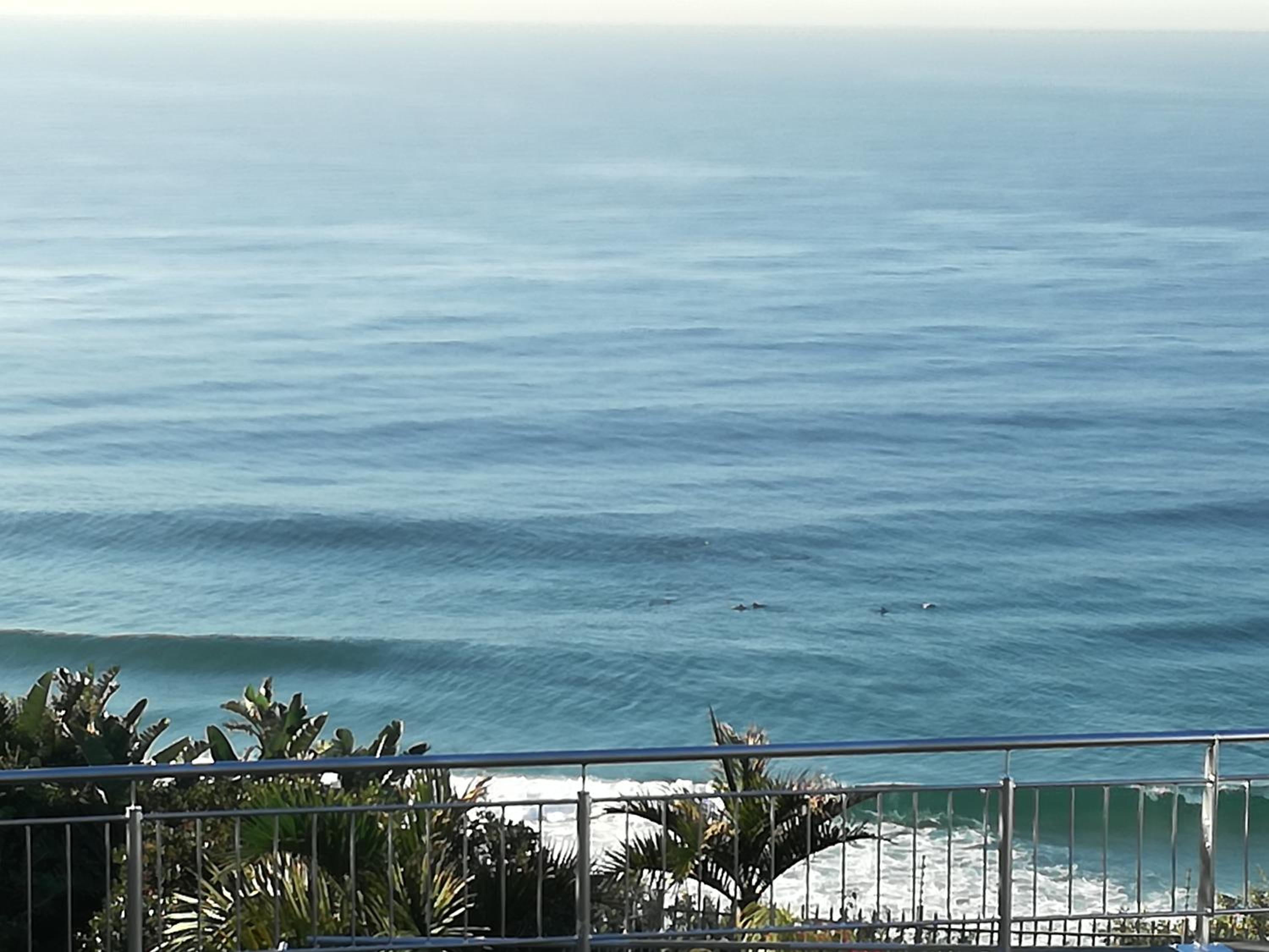Dolphin Point B&B